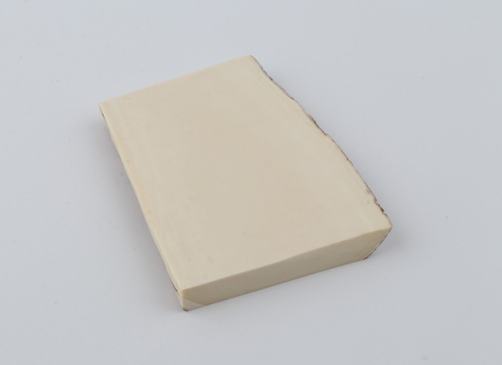 White mammoth ivory segment