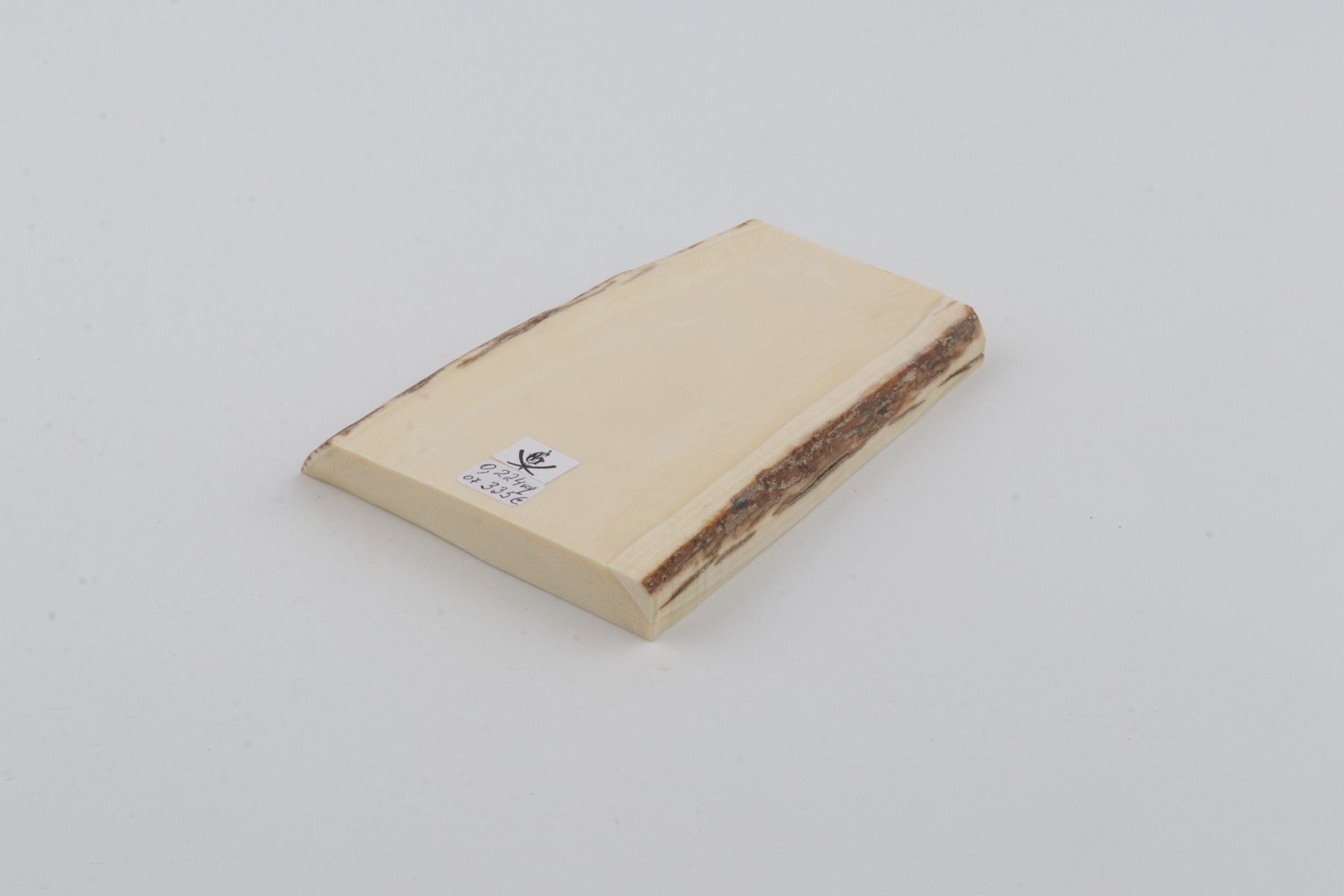 White mammoth ivory segment