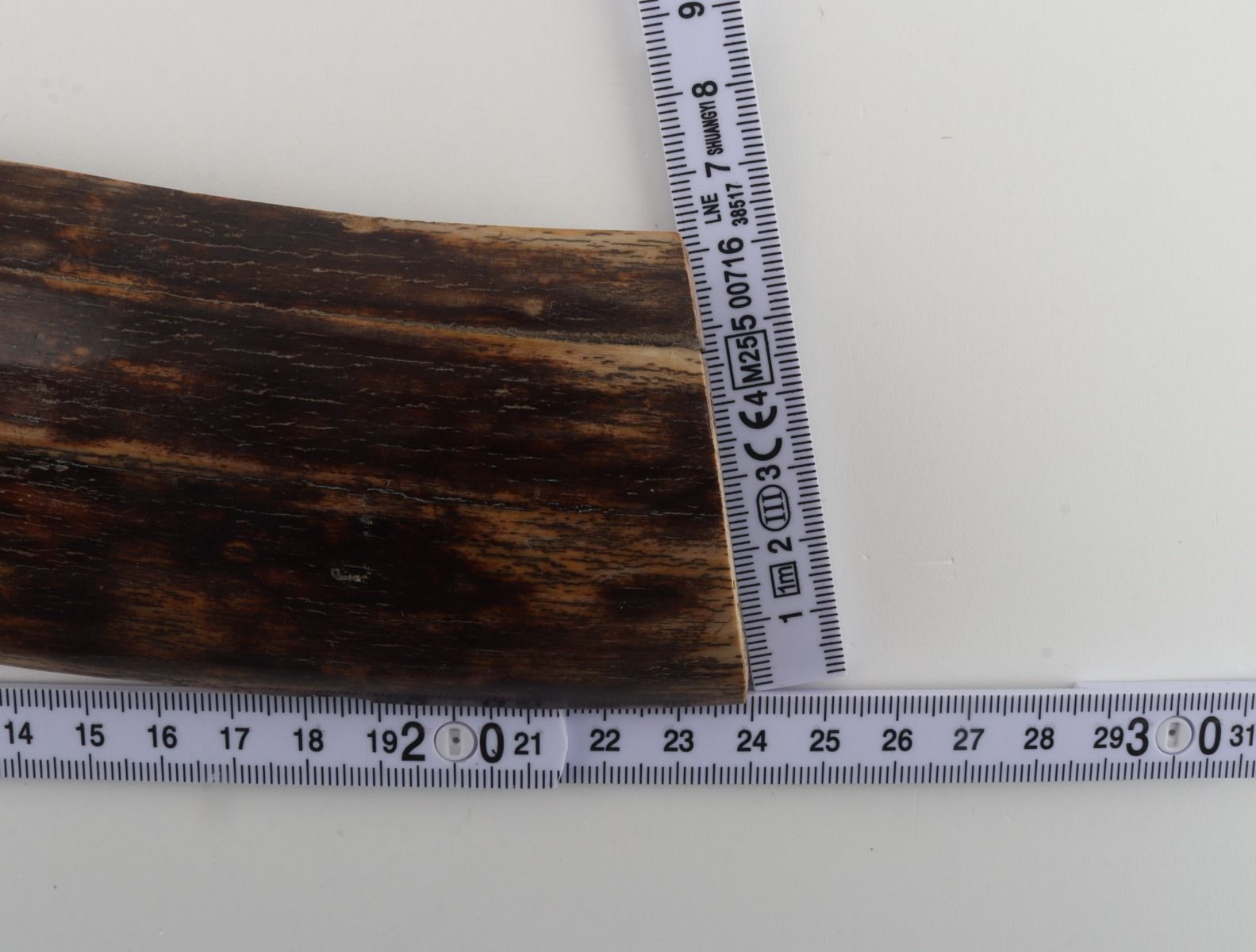 Brown mammoth bark