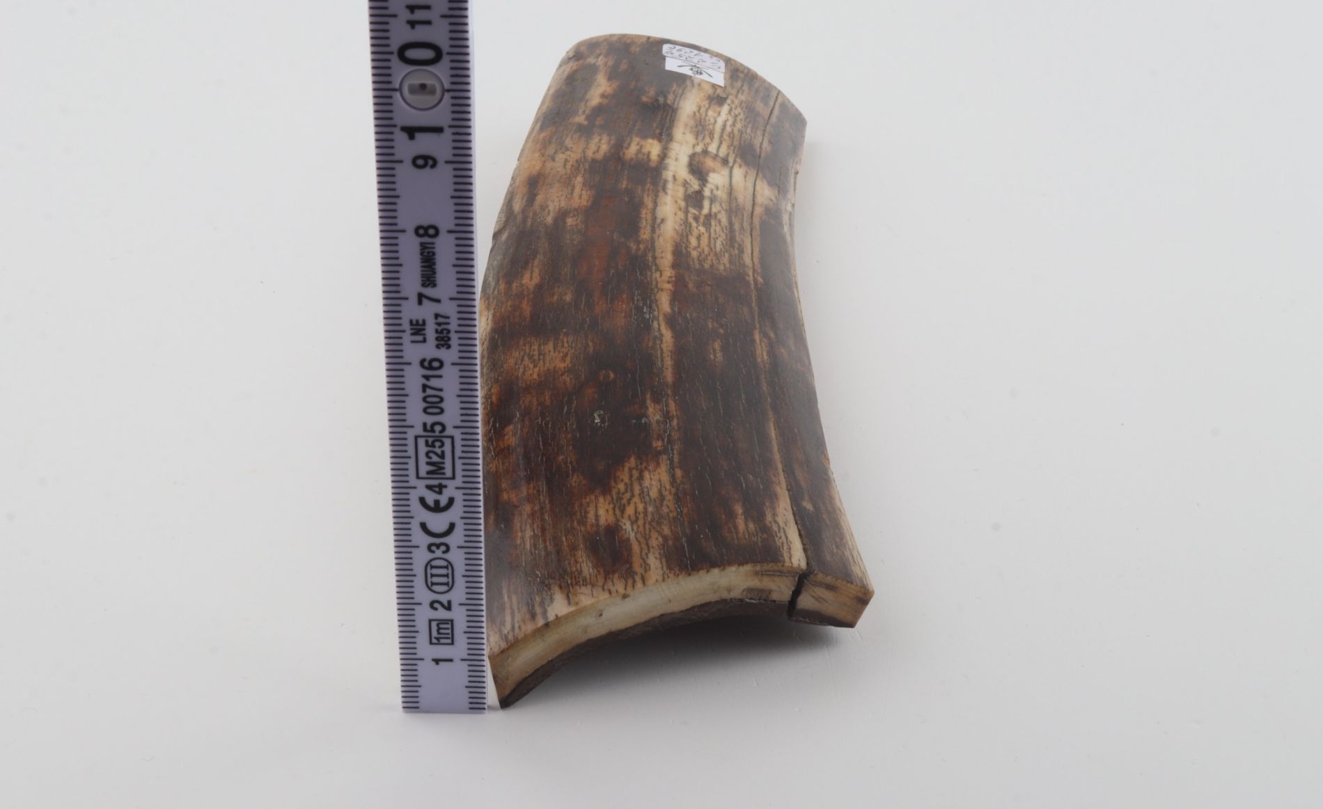 Brown mammoth bark