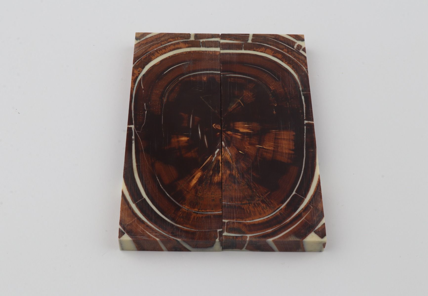 Stabilised mammoth ivory scales