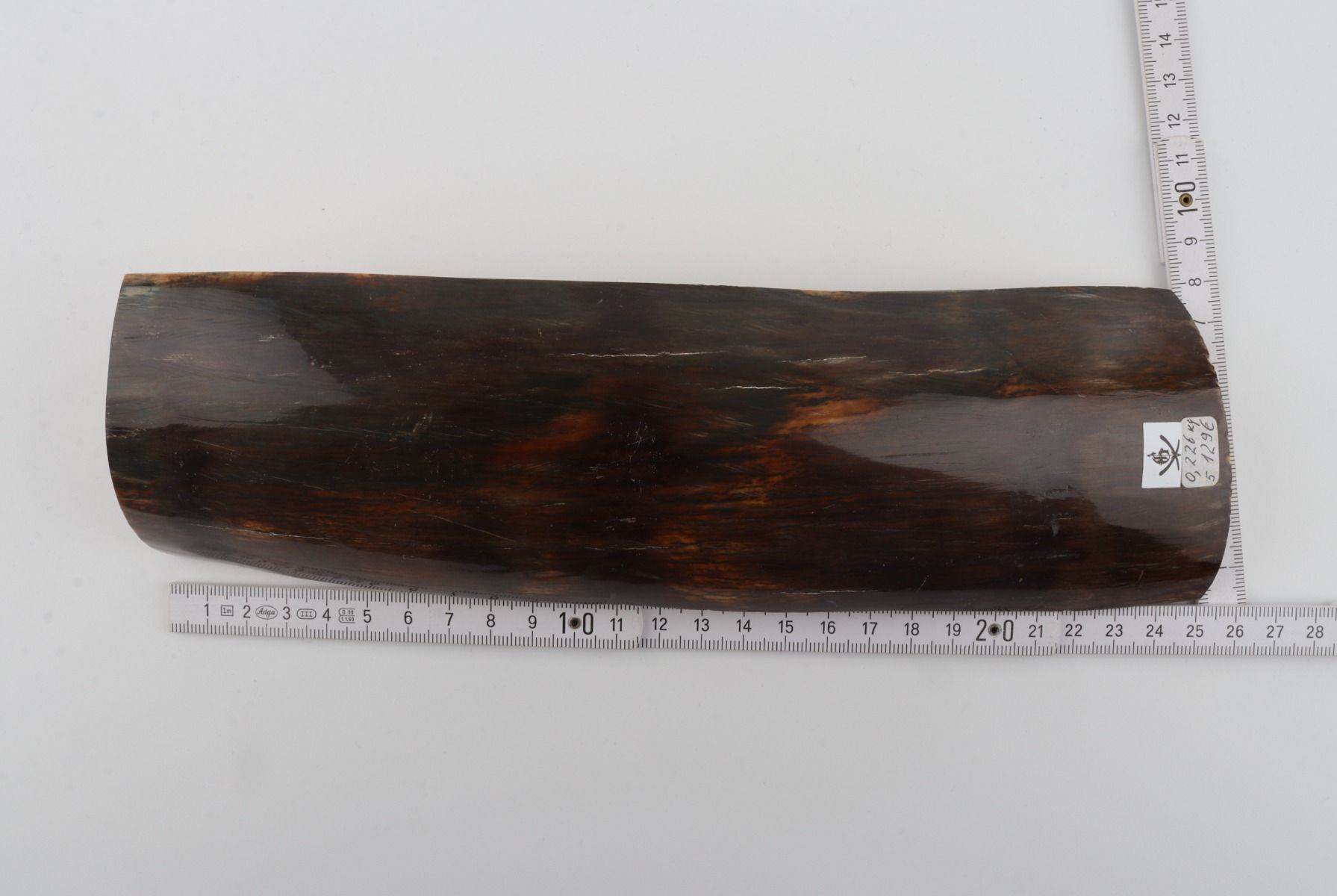 Brown mammoth bark