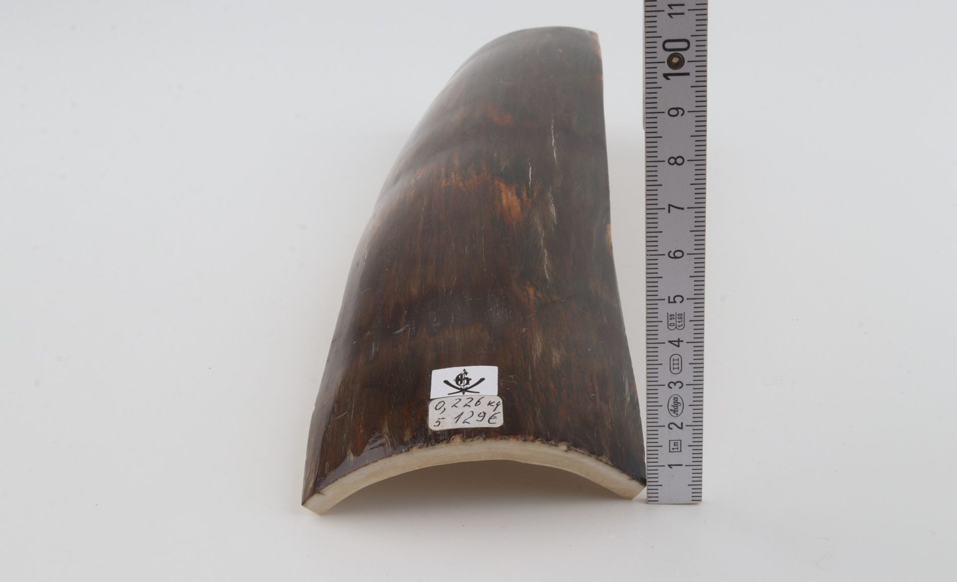 Brown mammoth bark