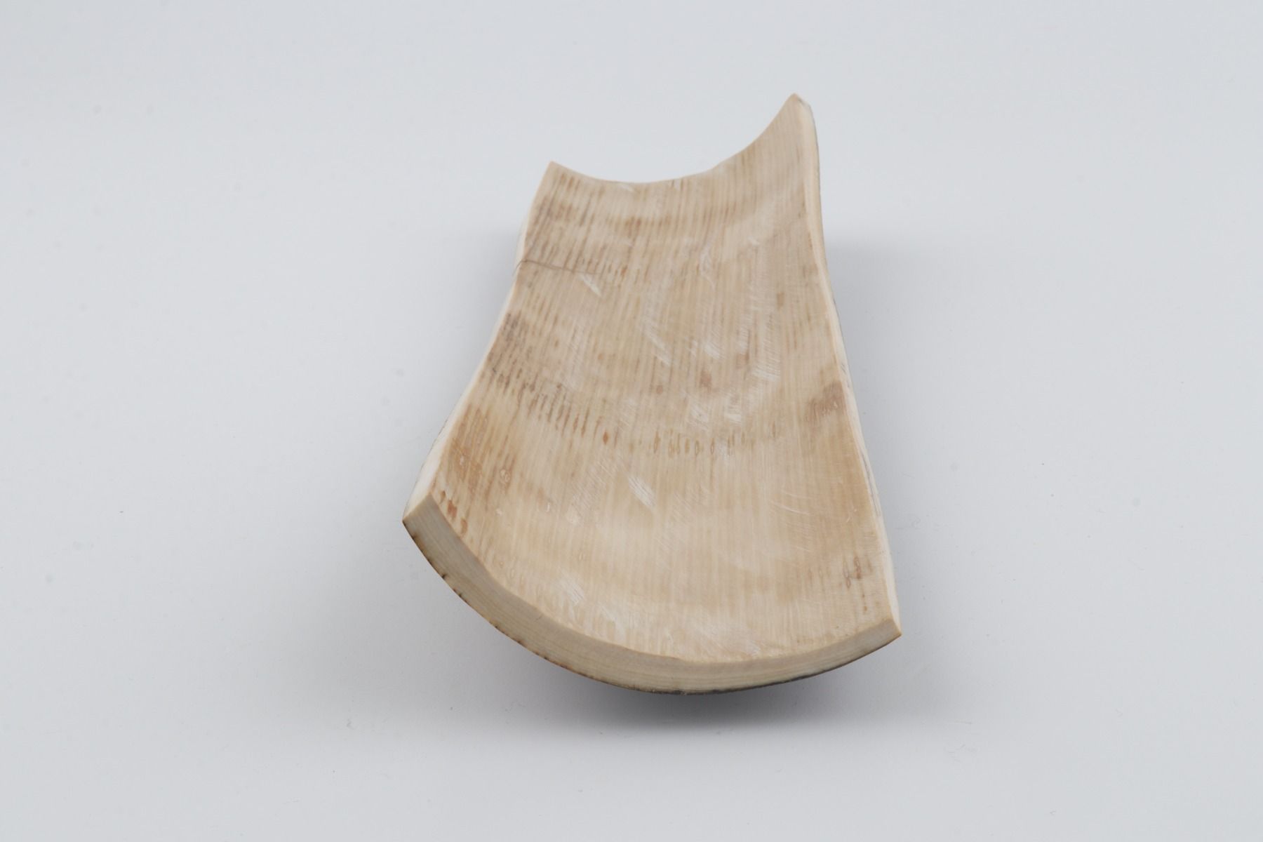 Brown mammoth bark
