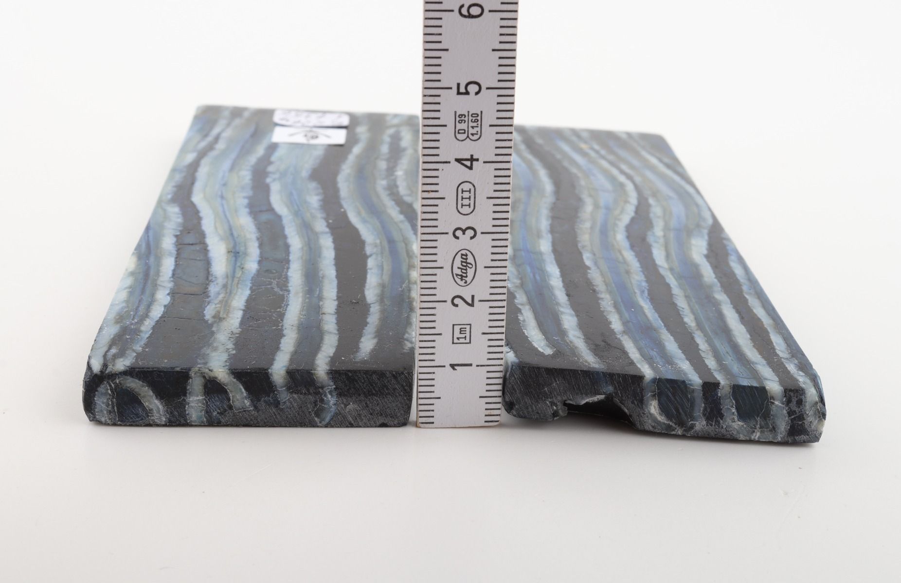 Stabilized mammoth molar scales