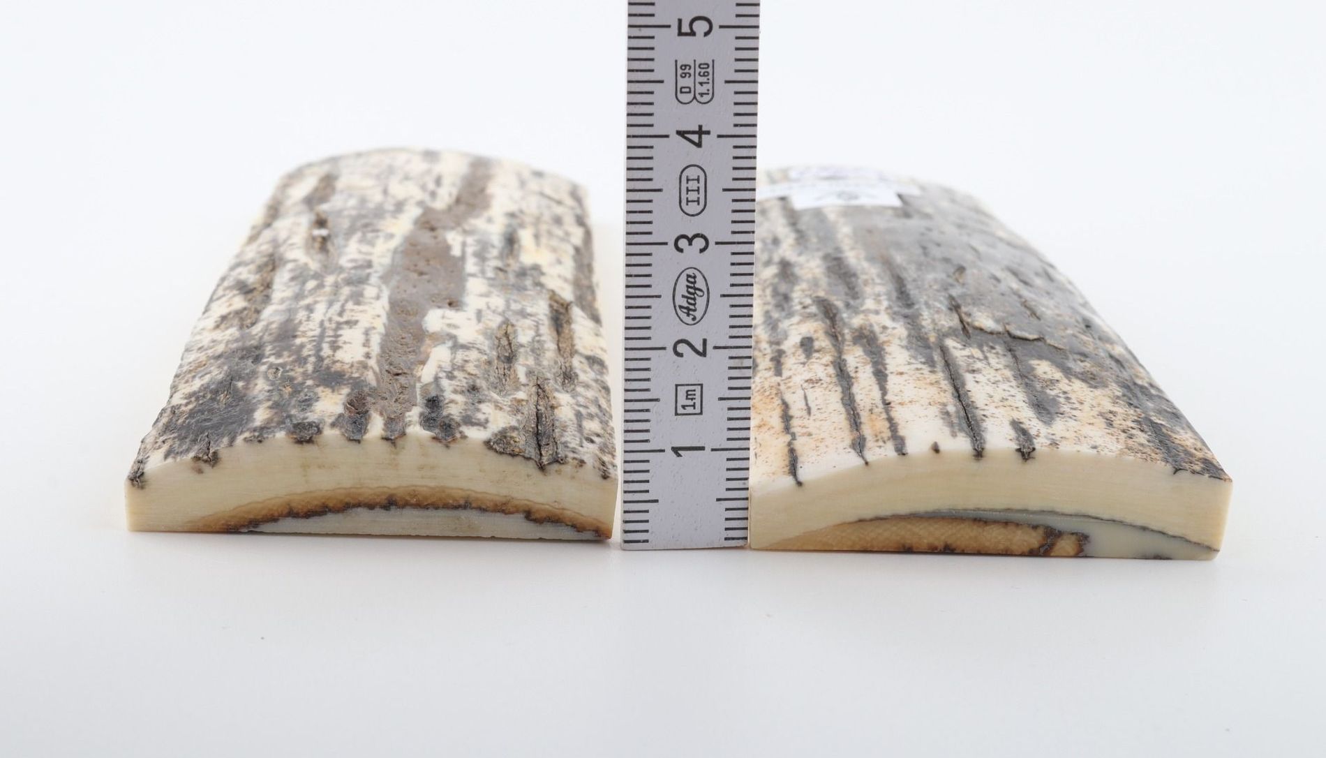 Stabilized mammoth bark scales