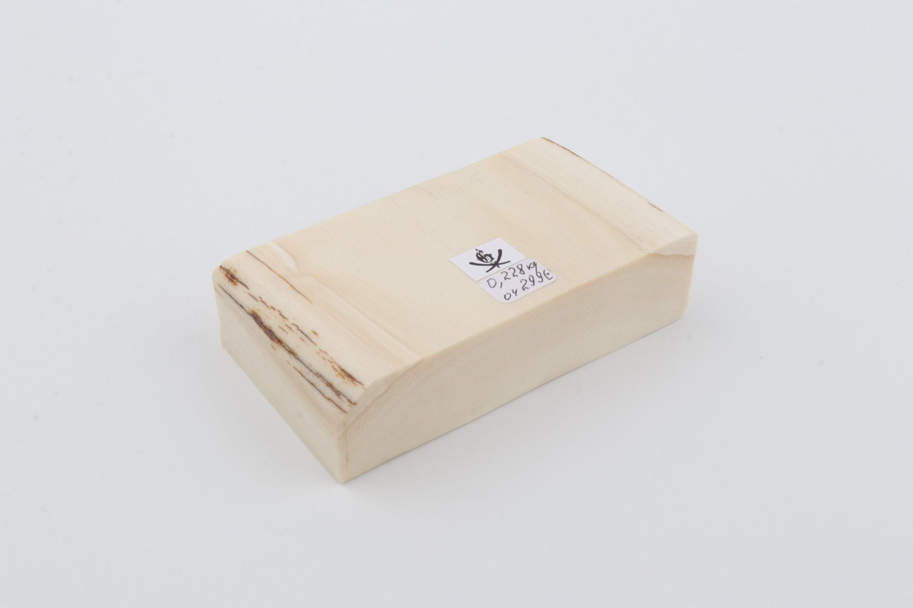 White mammoth ivory segment