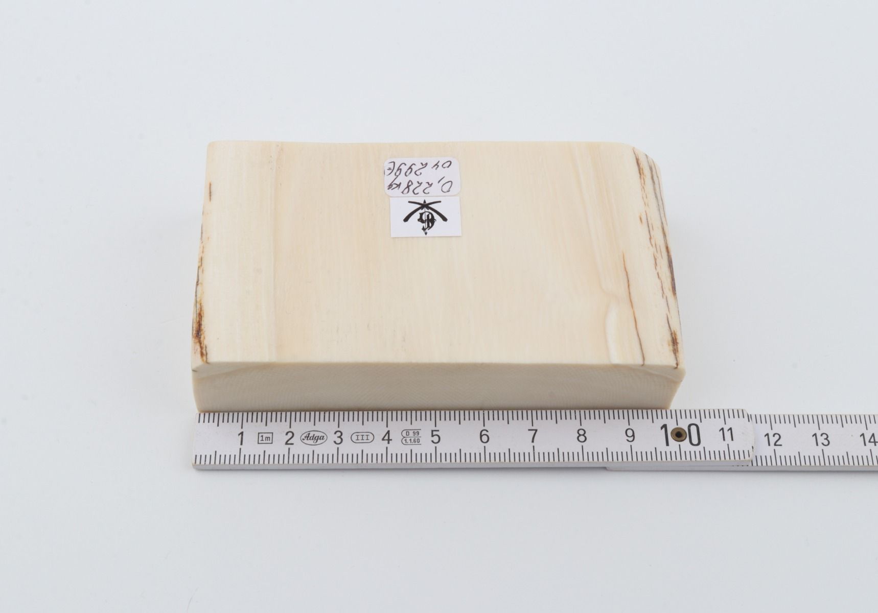 White mammoth ivory segment