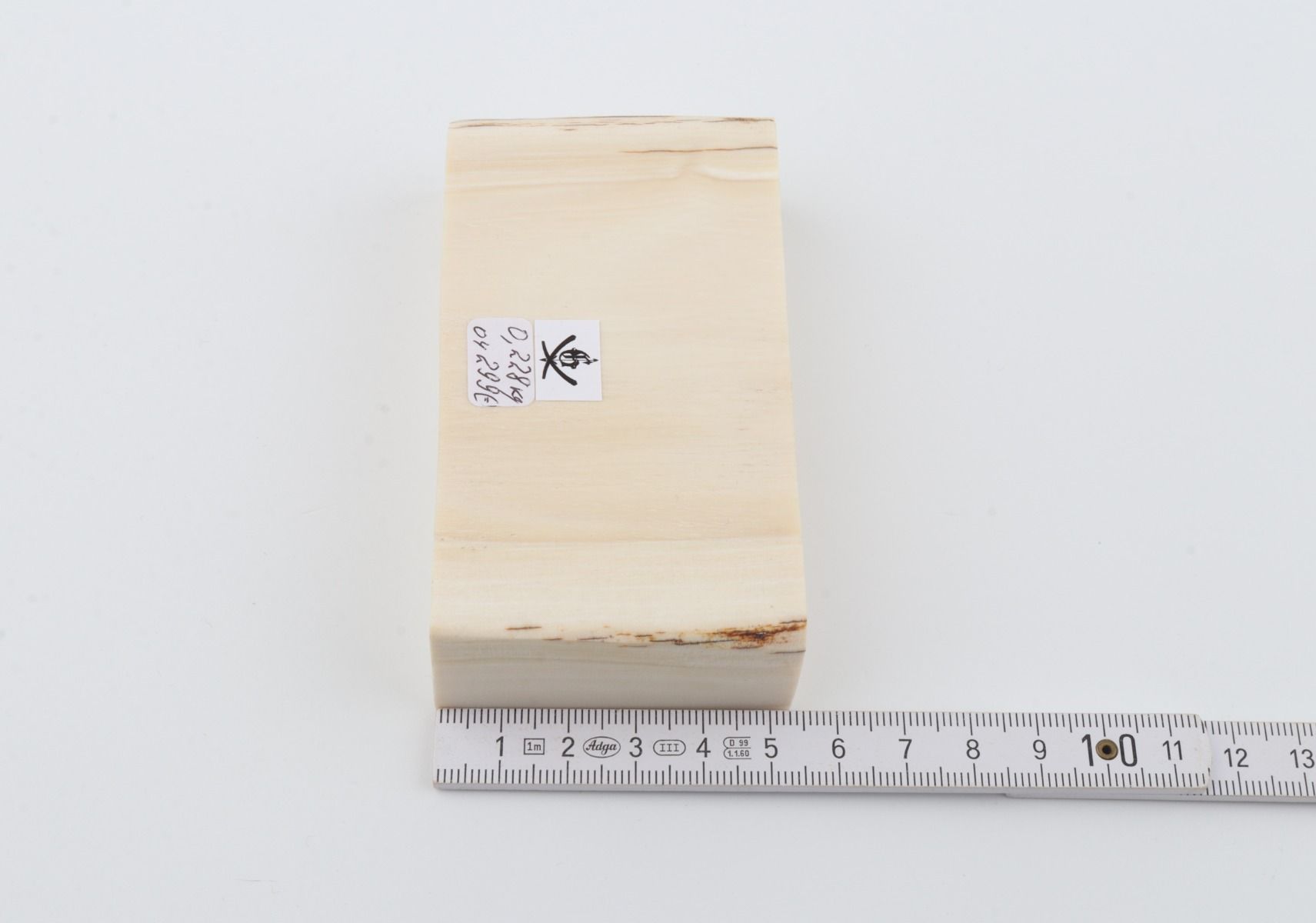 White mammoth ivory segment