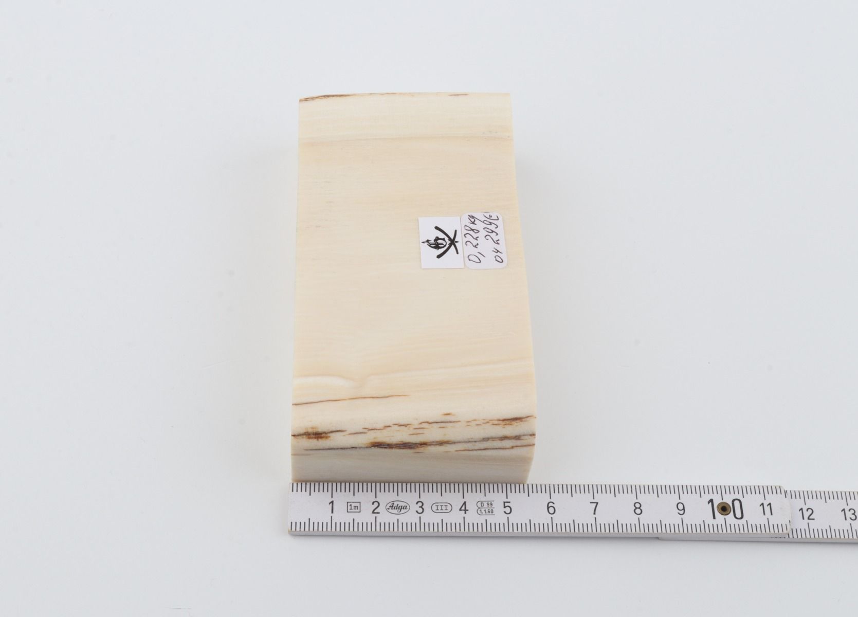 White mammoth ivory segment