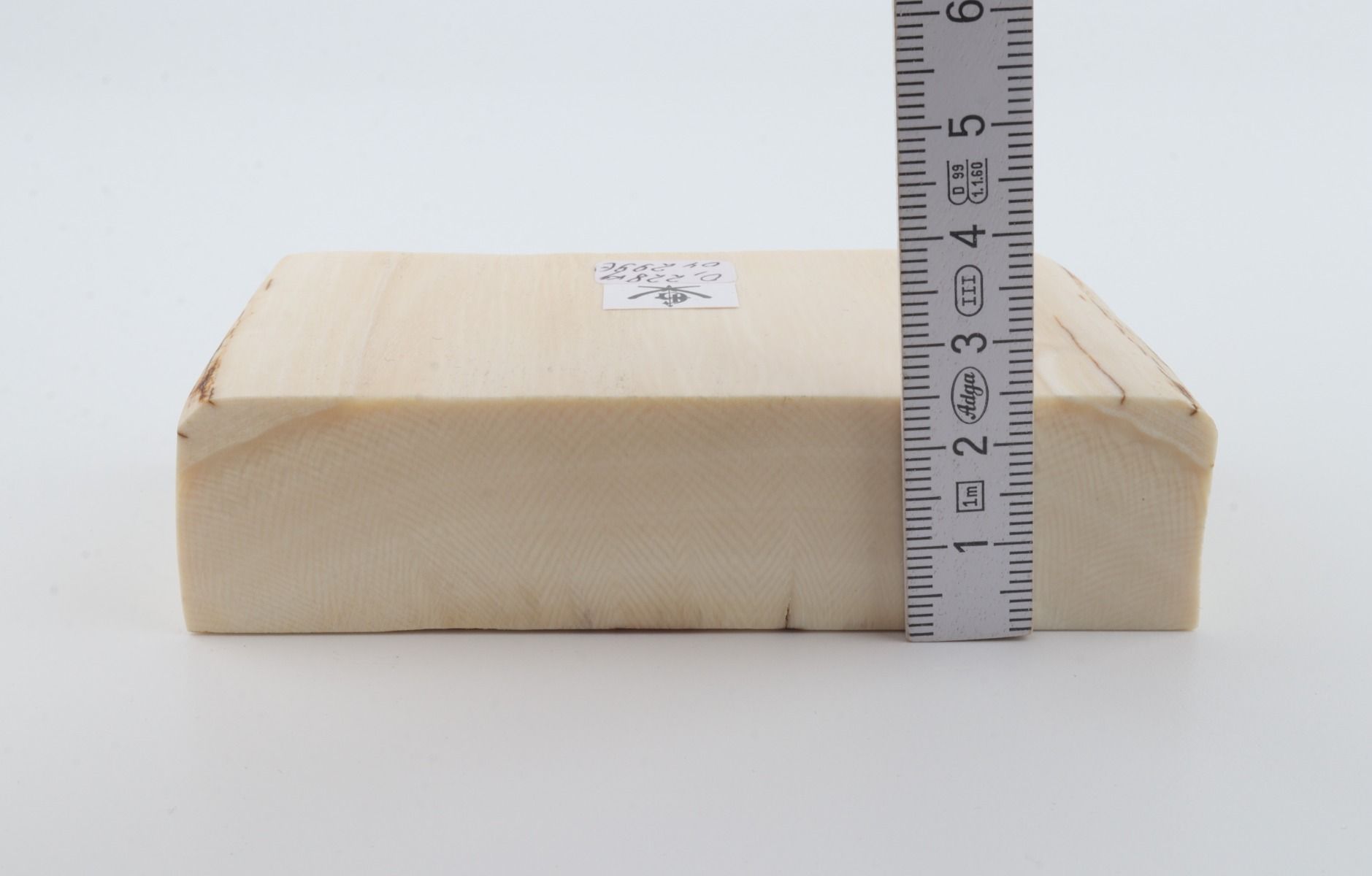 White mammoth ivory segment