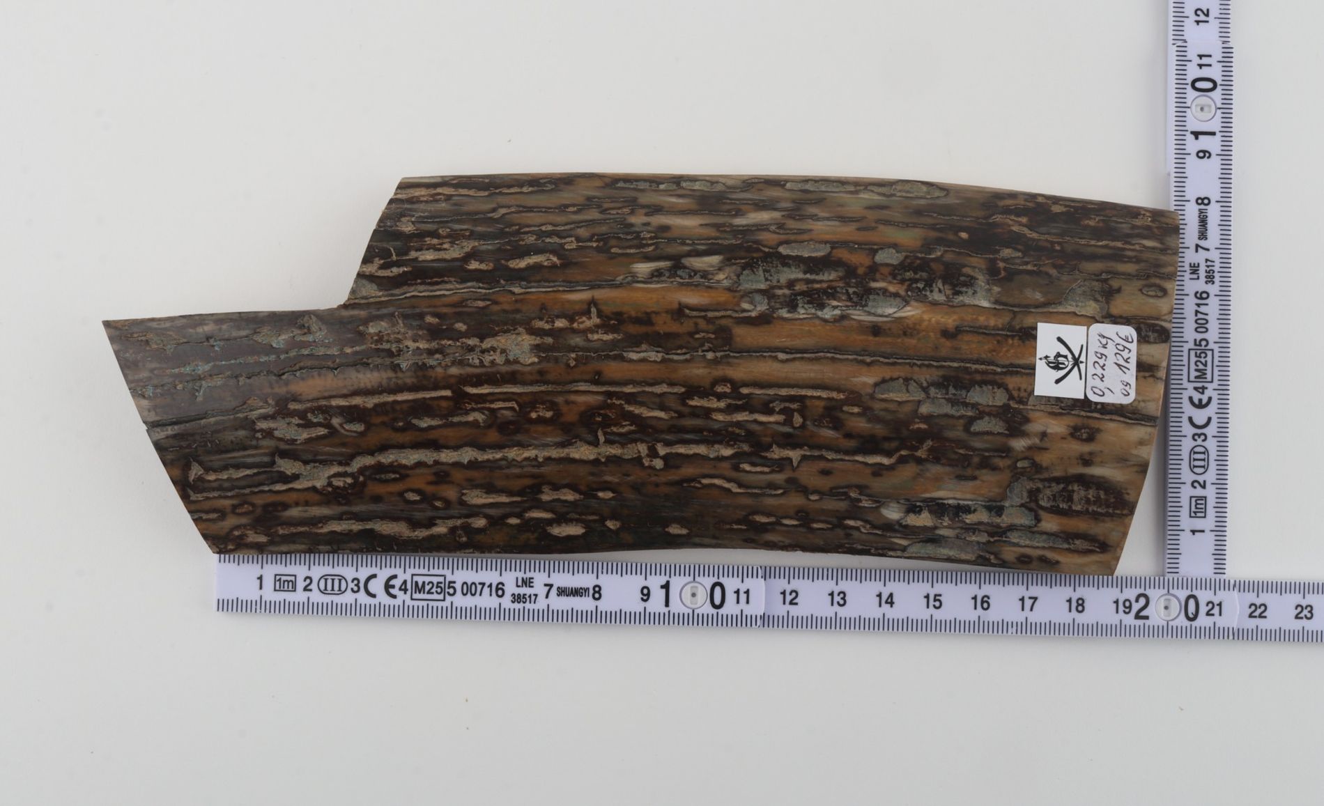 Brown-mustard mammoth bark