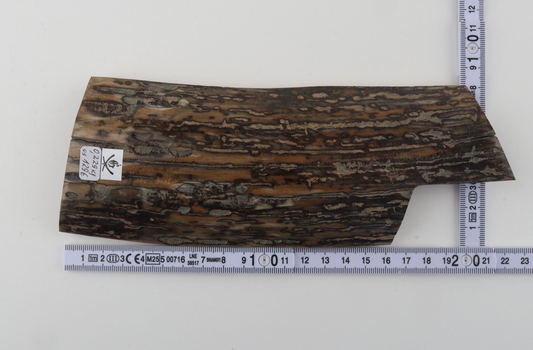 Brown-mustard mammoth bark