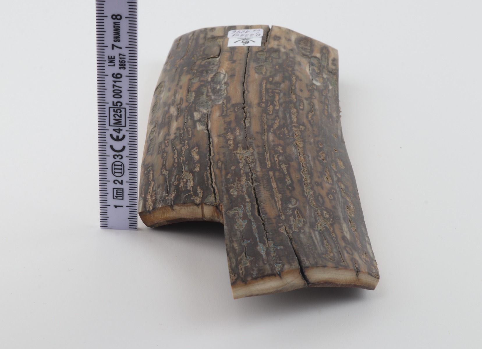 Brown-mustard mammoth bark