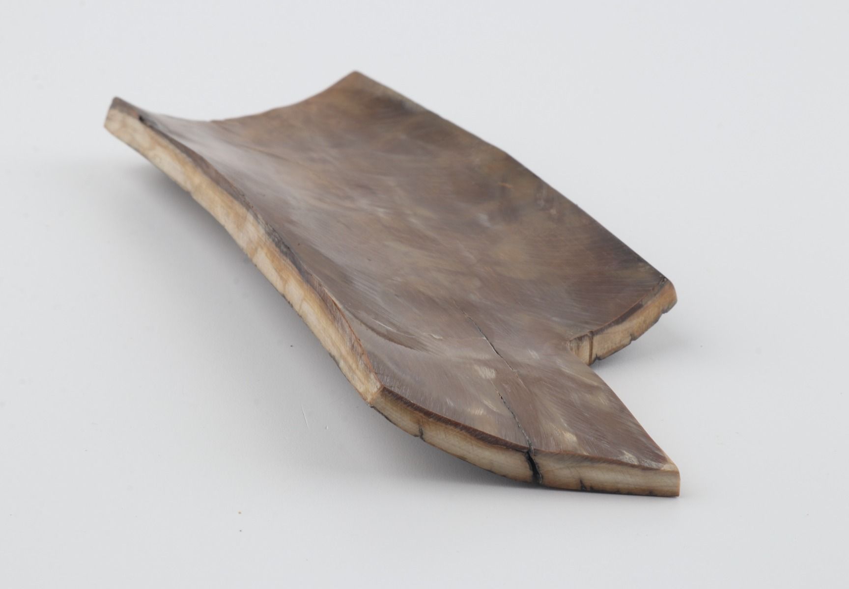 Brown-mustard mammoth bark