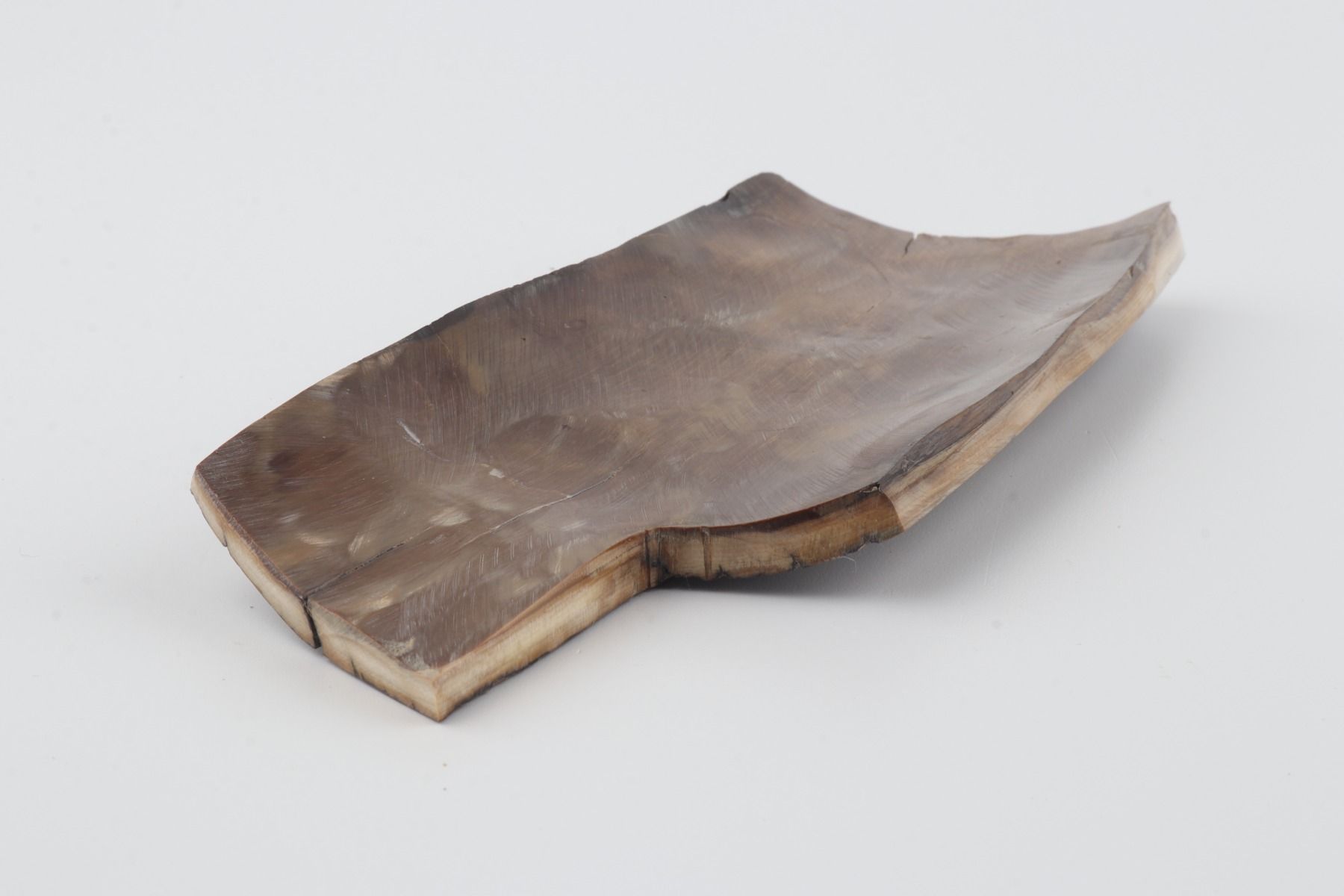 Brown-mustard mammoth bark