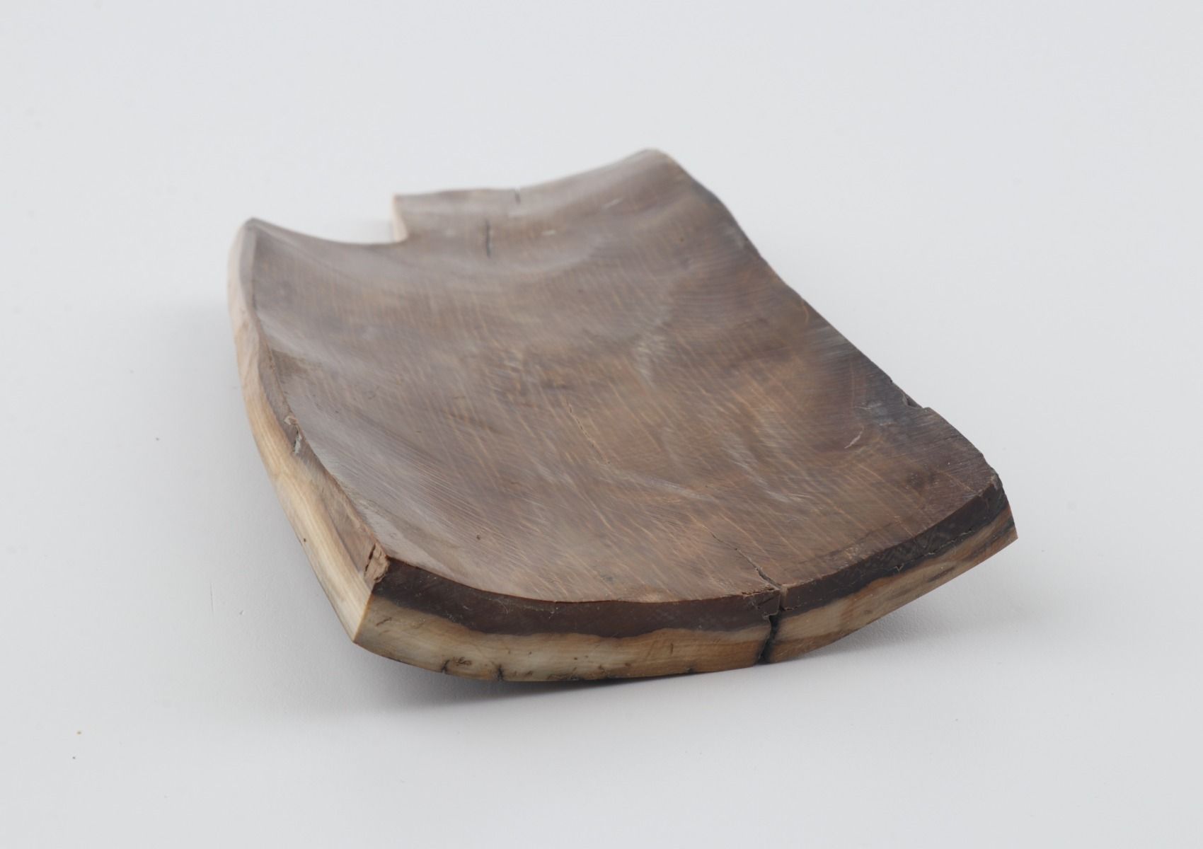 Brown-mustard mammoth bark