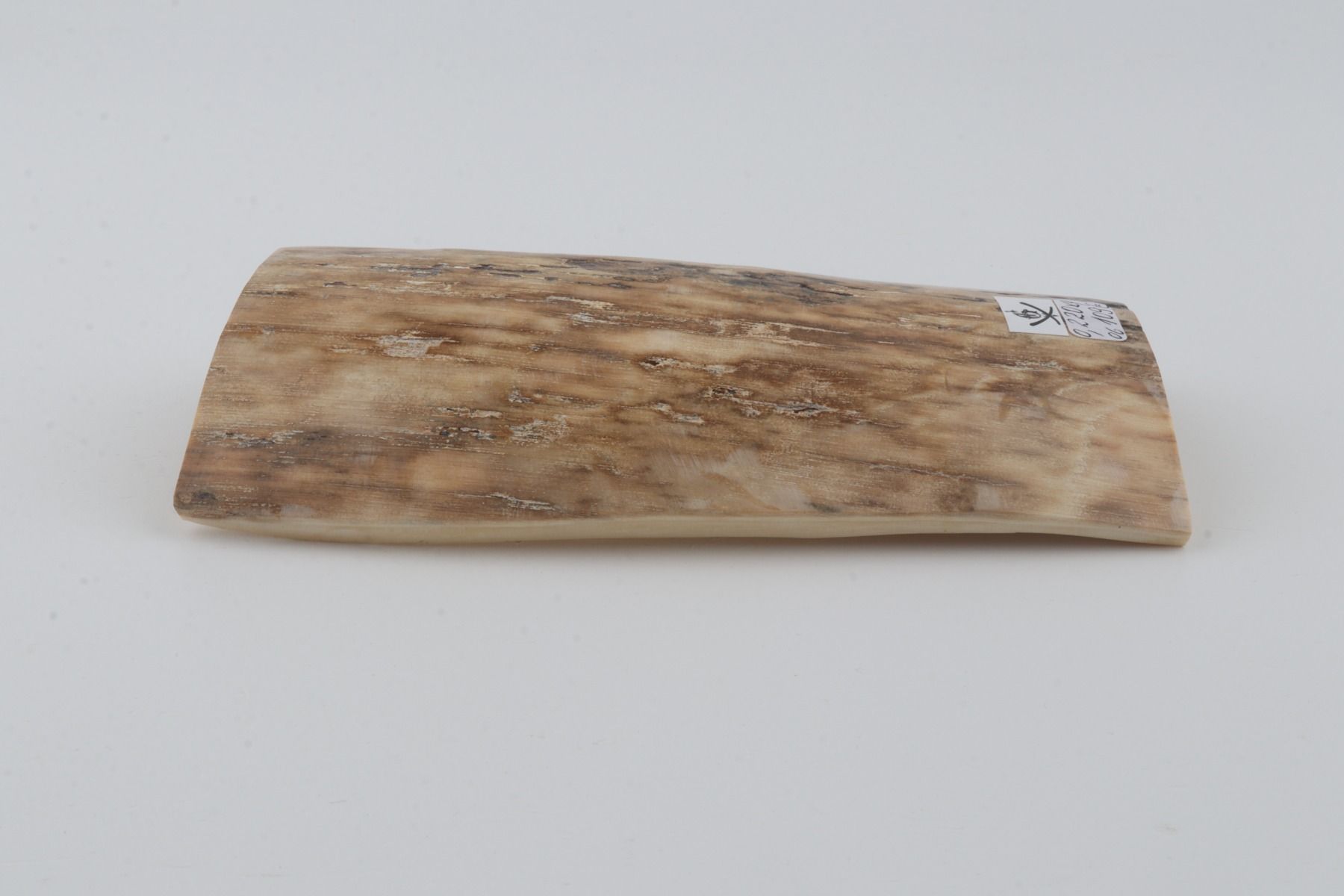 Beige mammoth bark