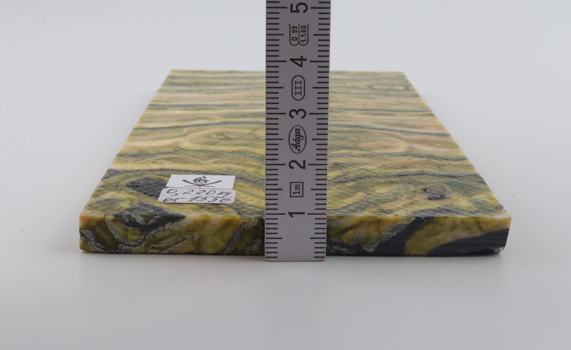 Stabilized mammoth molar scales