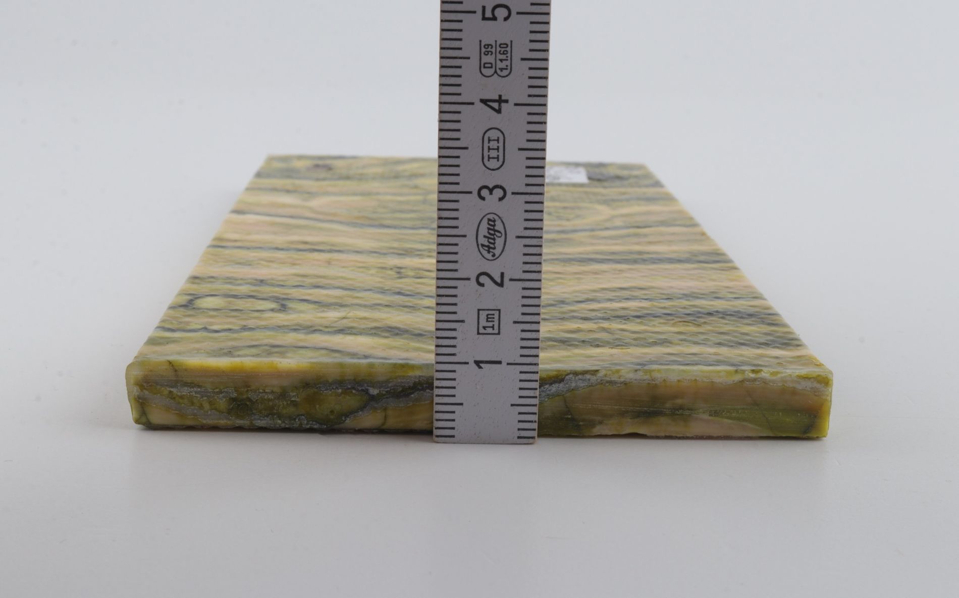 Stabilized mammoth molar scales