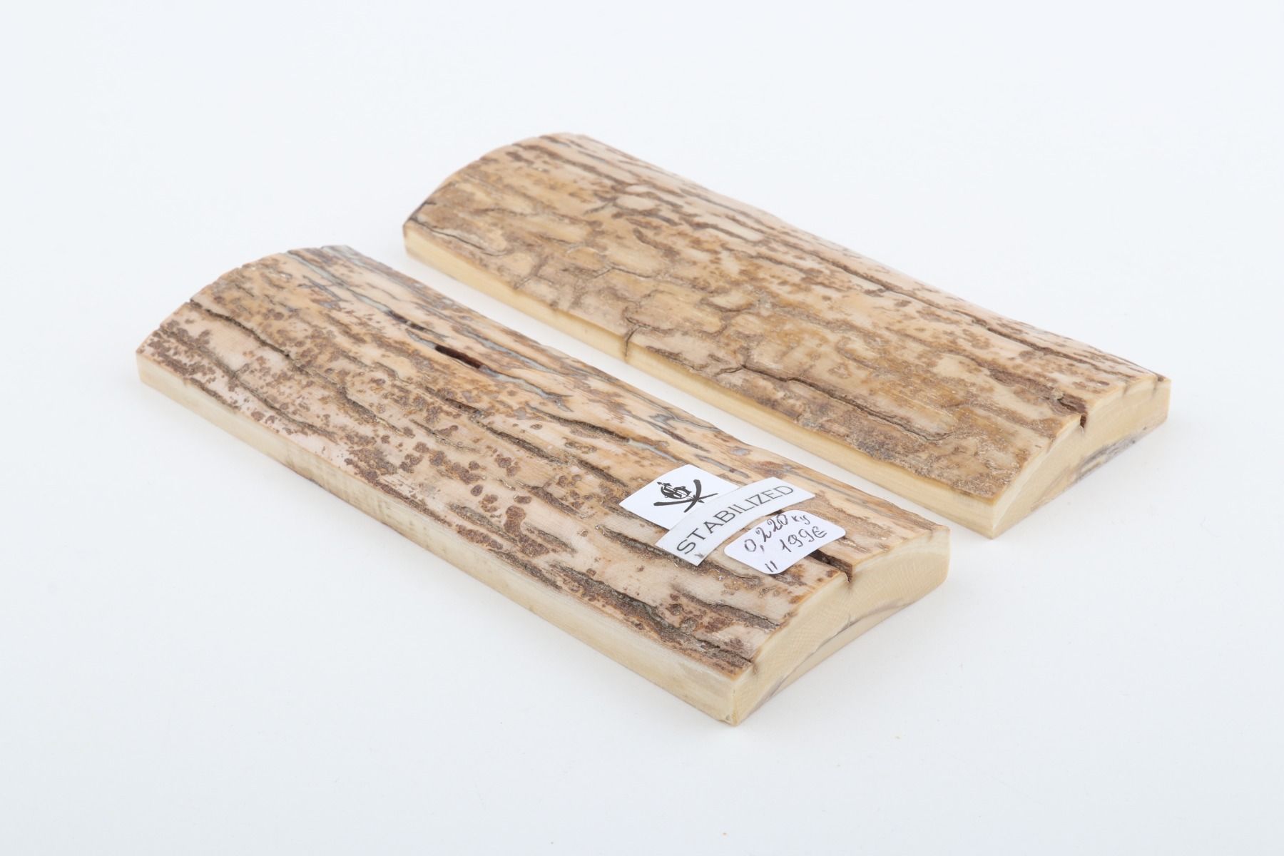 Stabilized mammoth bark scales