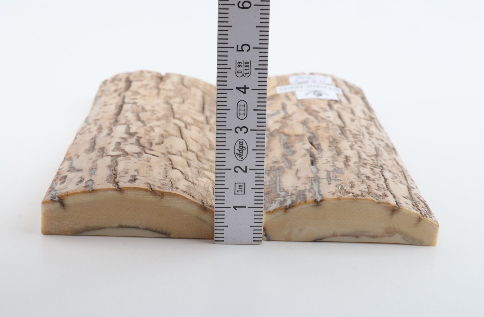 Stabilized mammoth bark scales