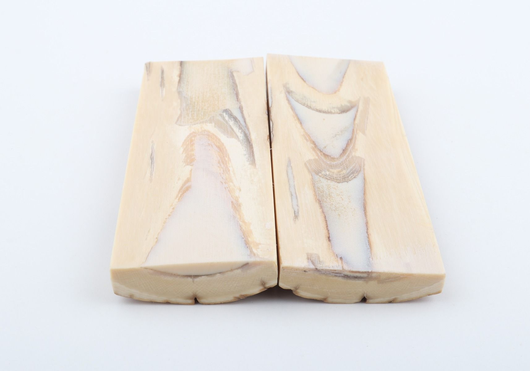 Stabilized mammoth bark scales