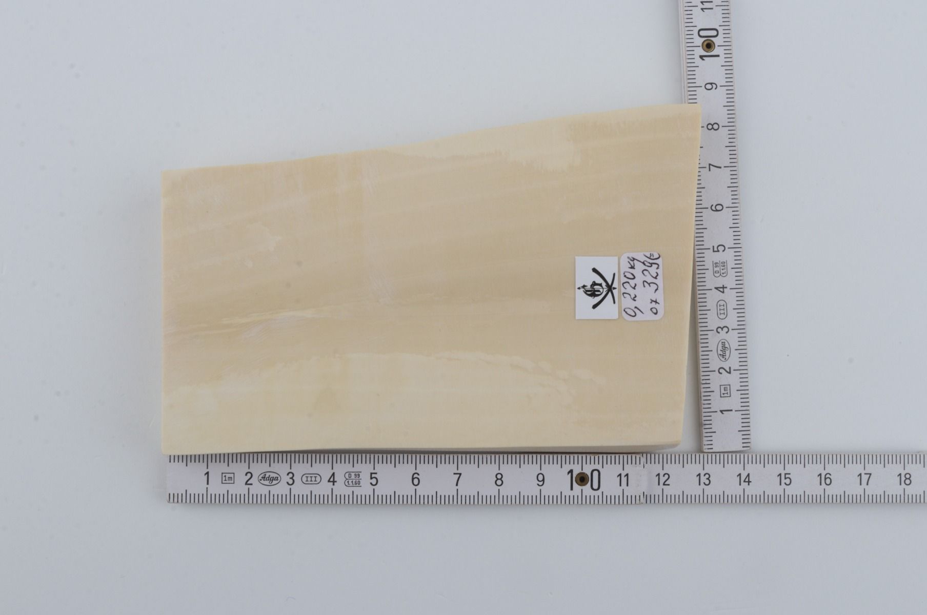 White mammoth ivory segment
