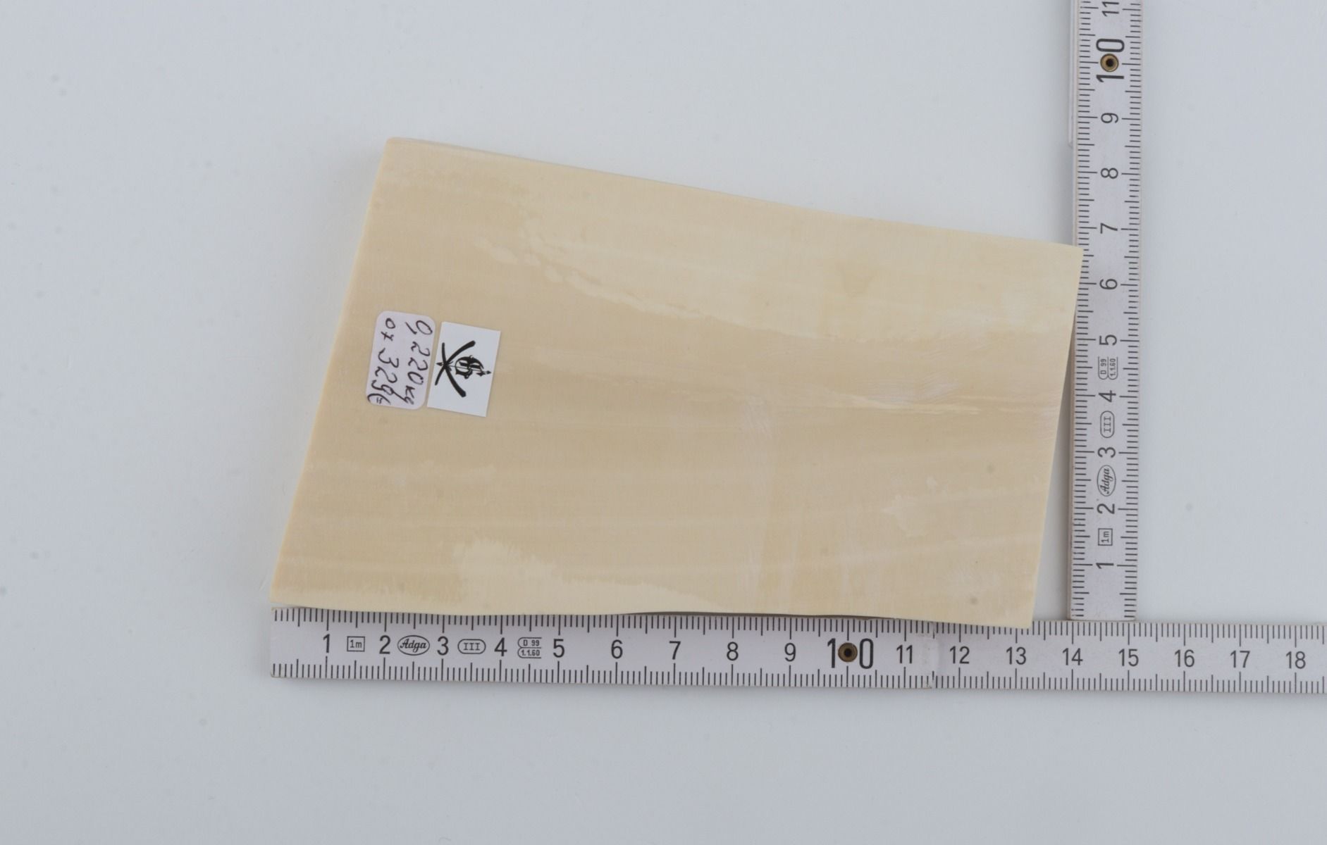 White mammoth ivory segment
