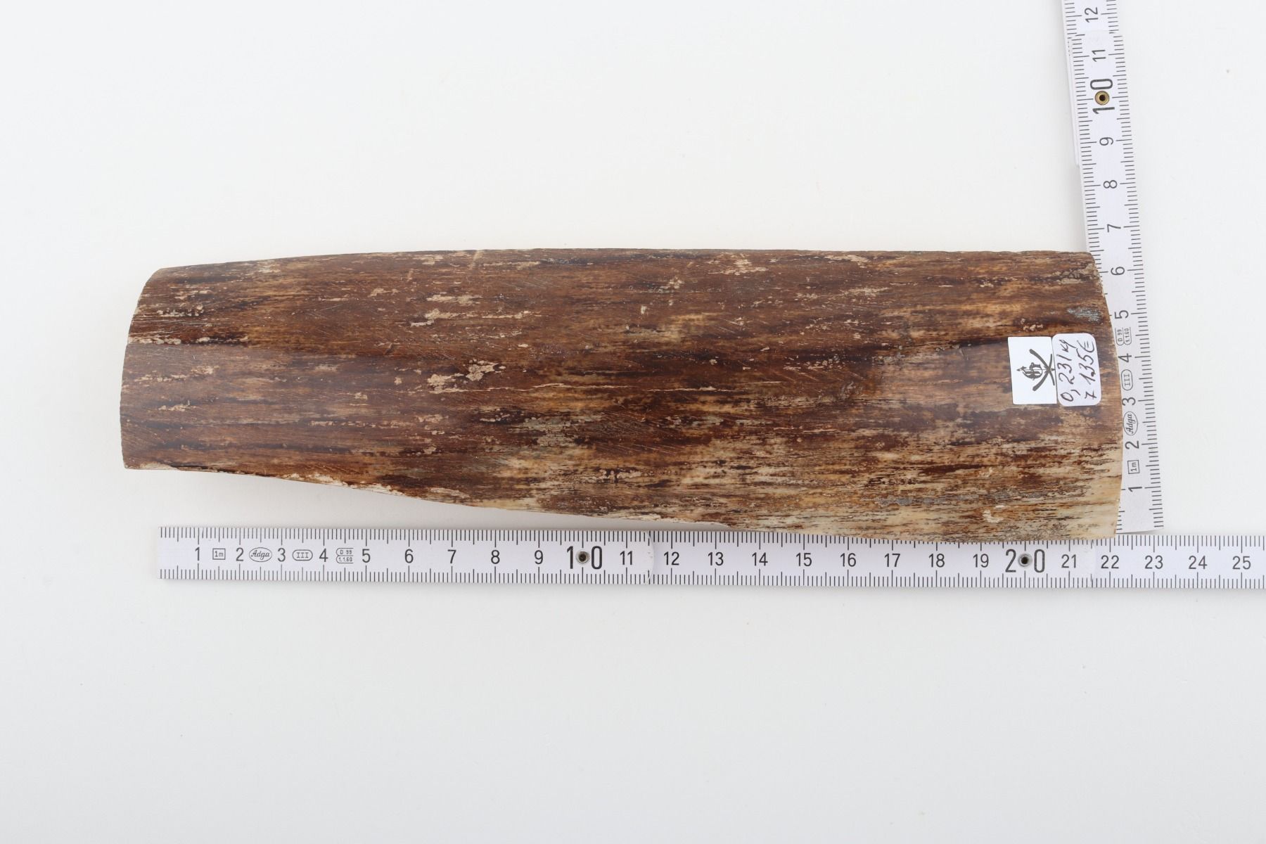 Brown mammoth bark