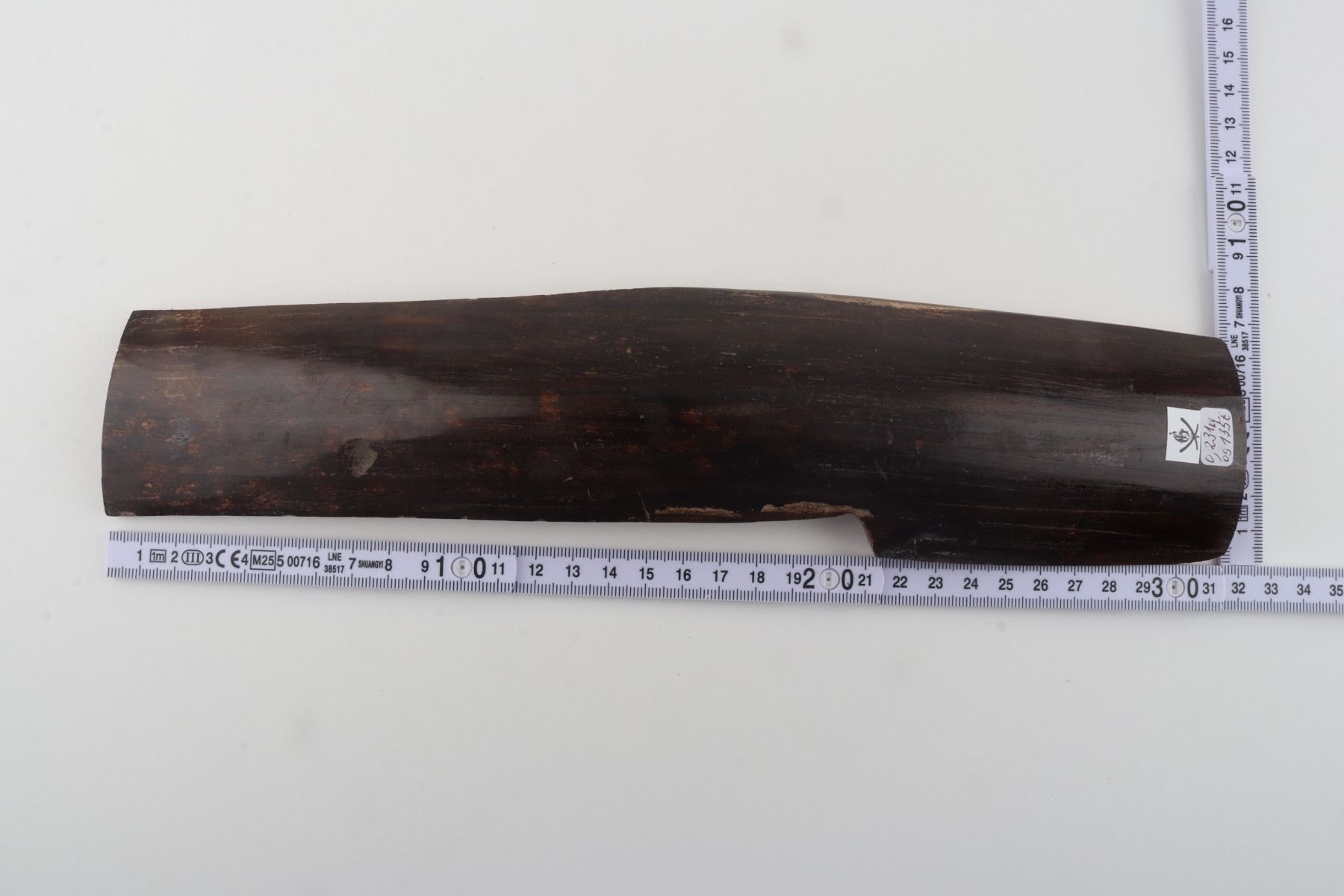 Brown mammoth bark
