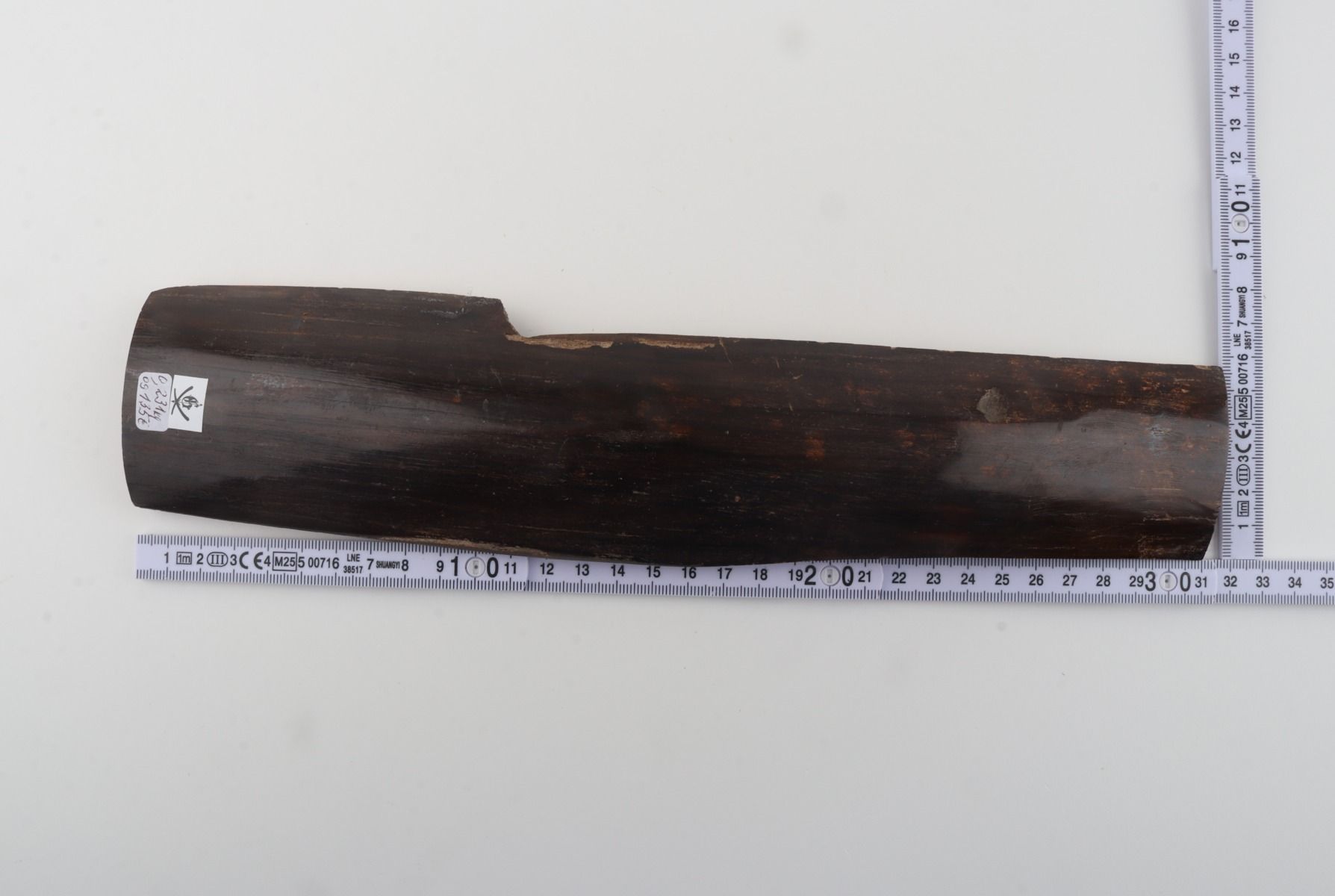 Brown mammoth bark