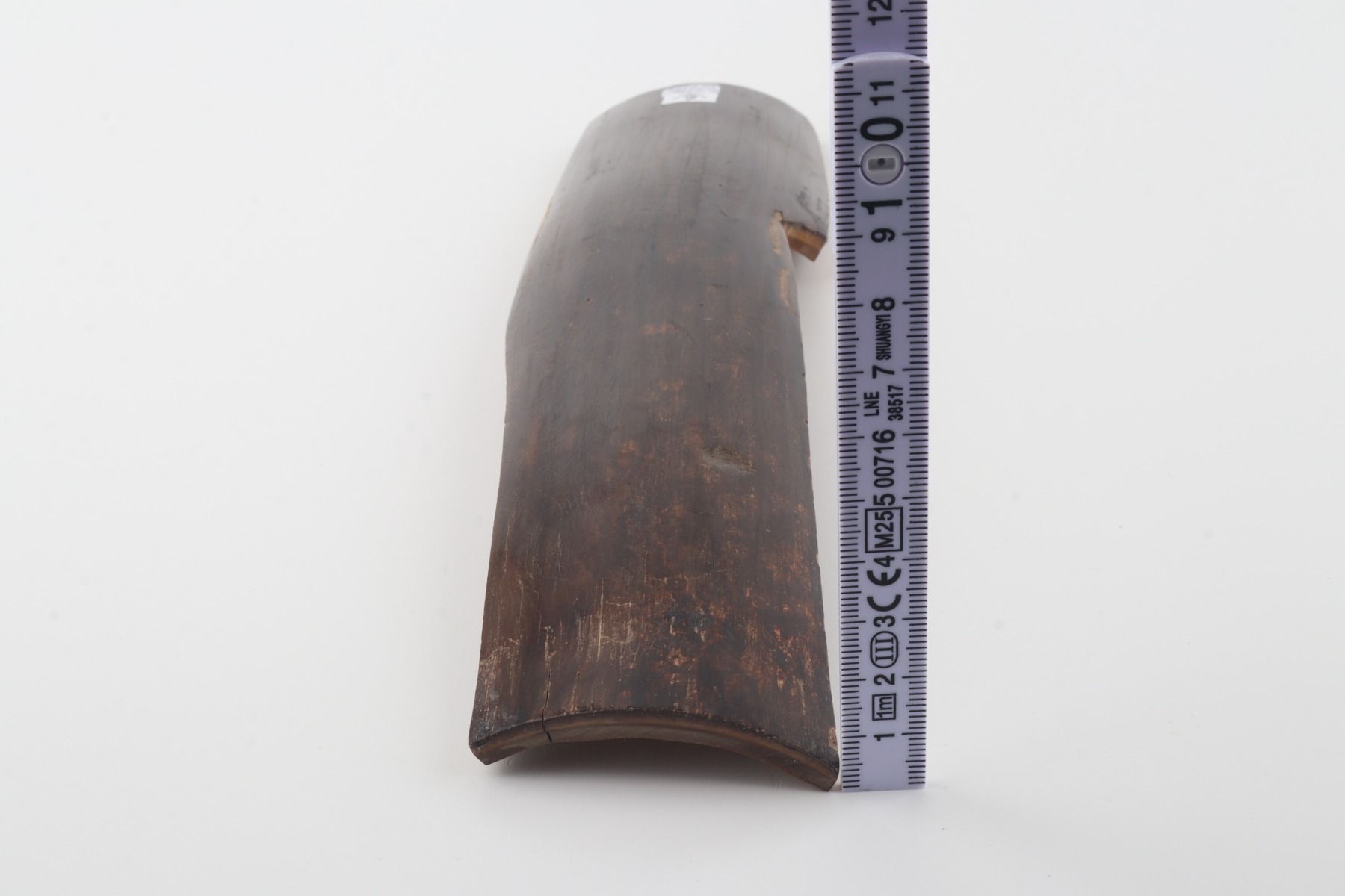 Brown mammoth bark