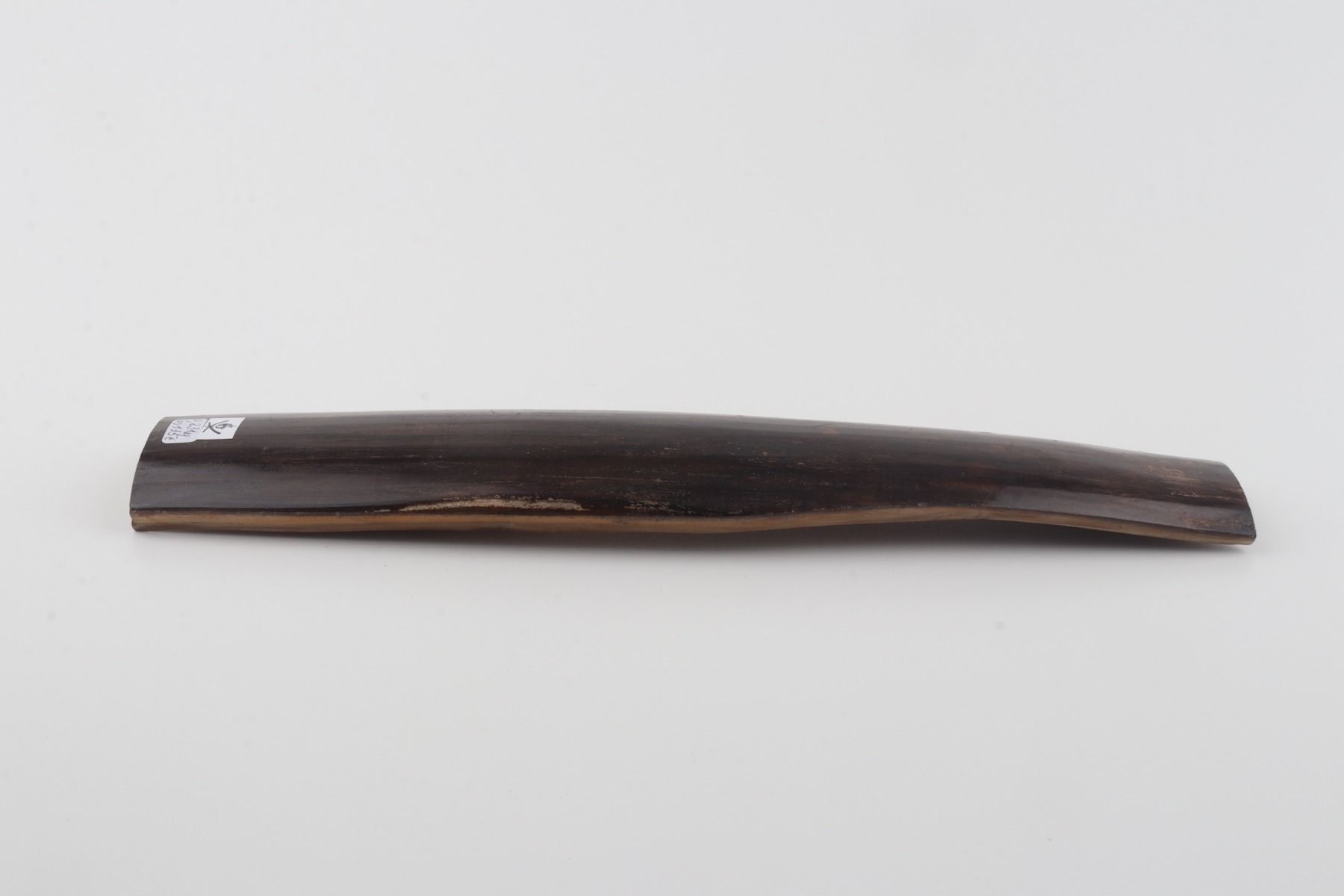 Brown mammoth bark