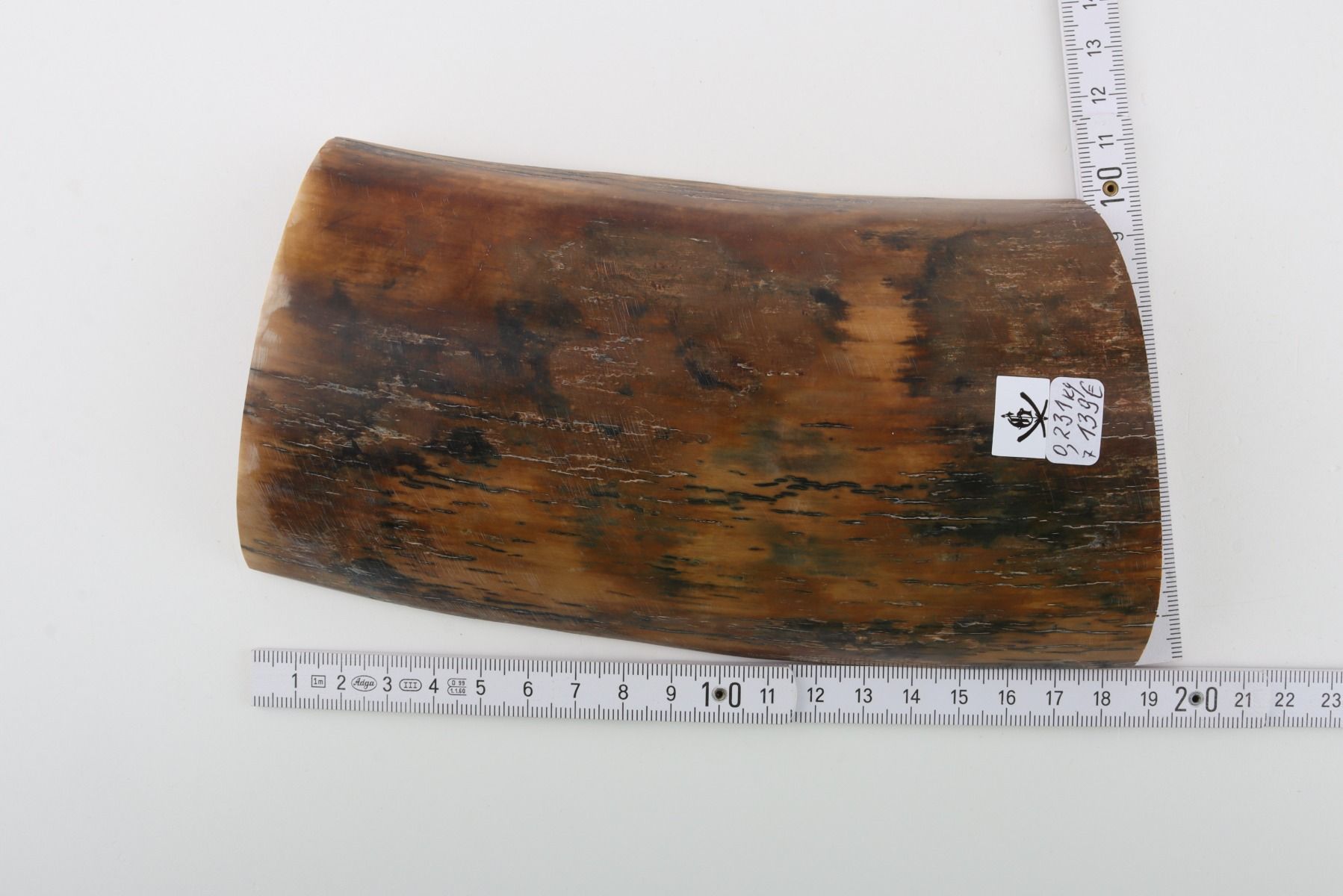 Natural woolly mammoth bark