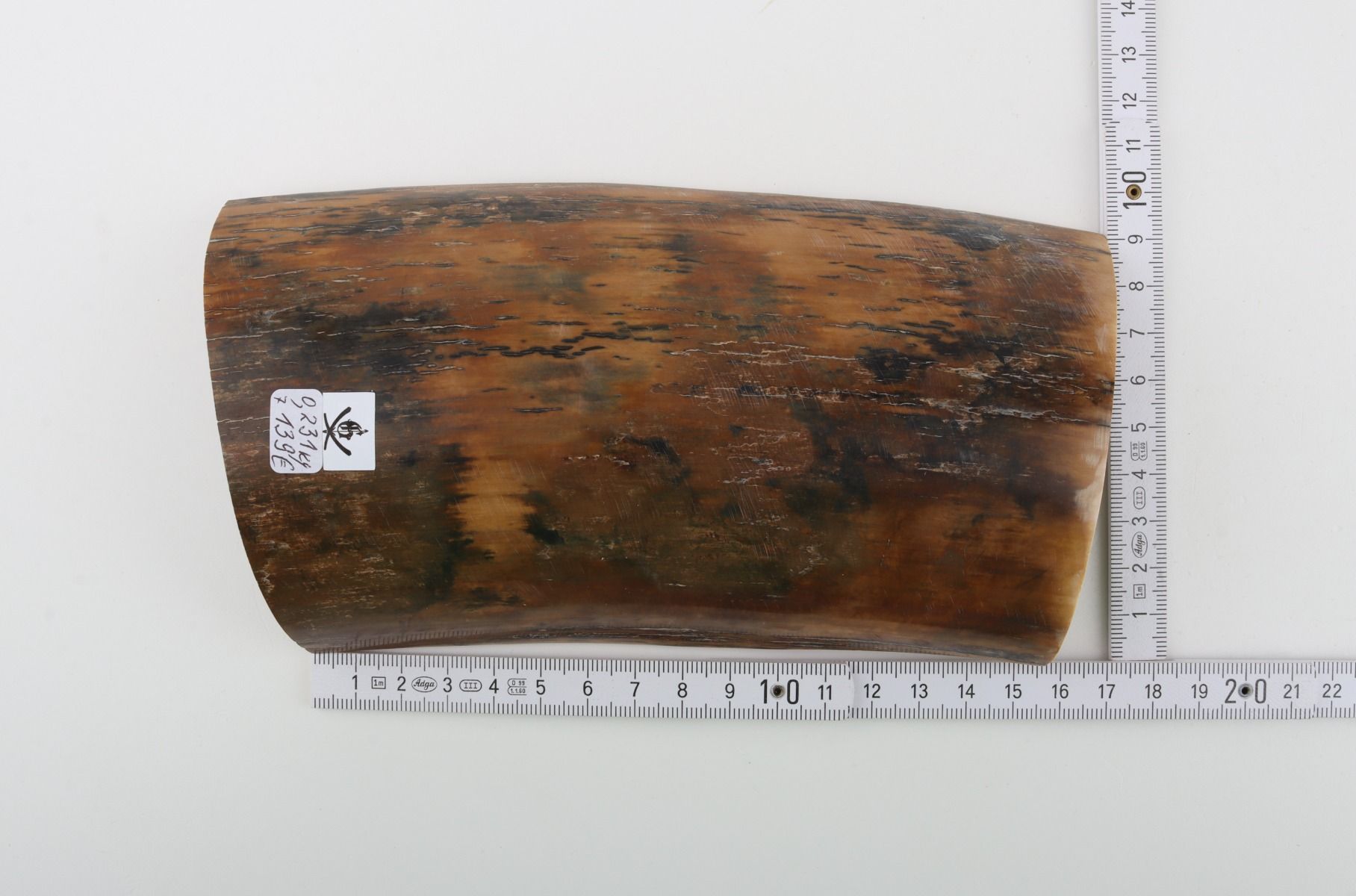 Natural woolly mammoth bark