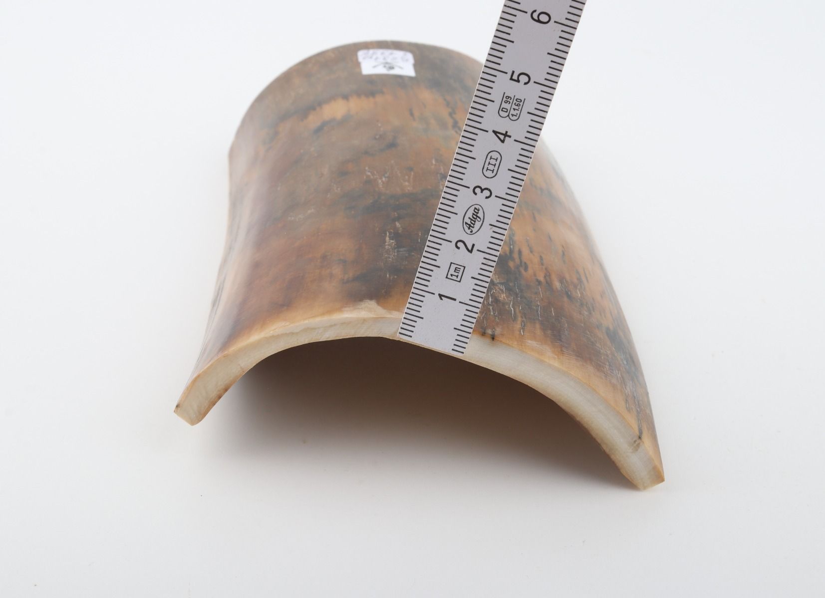 Natural woolly mammoth bark