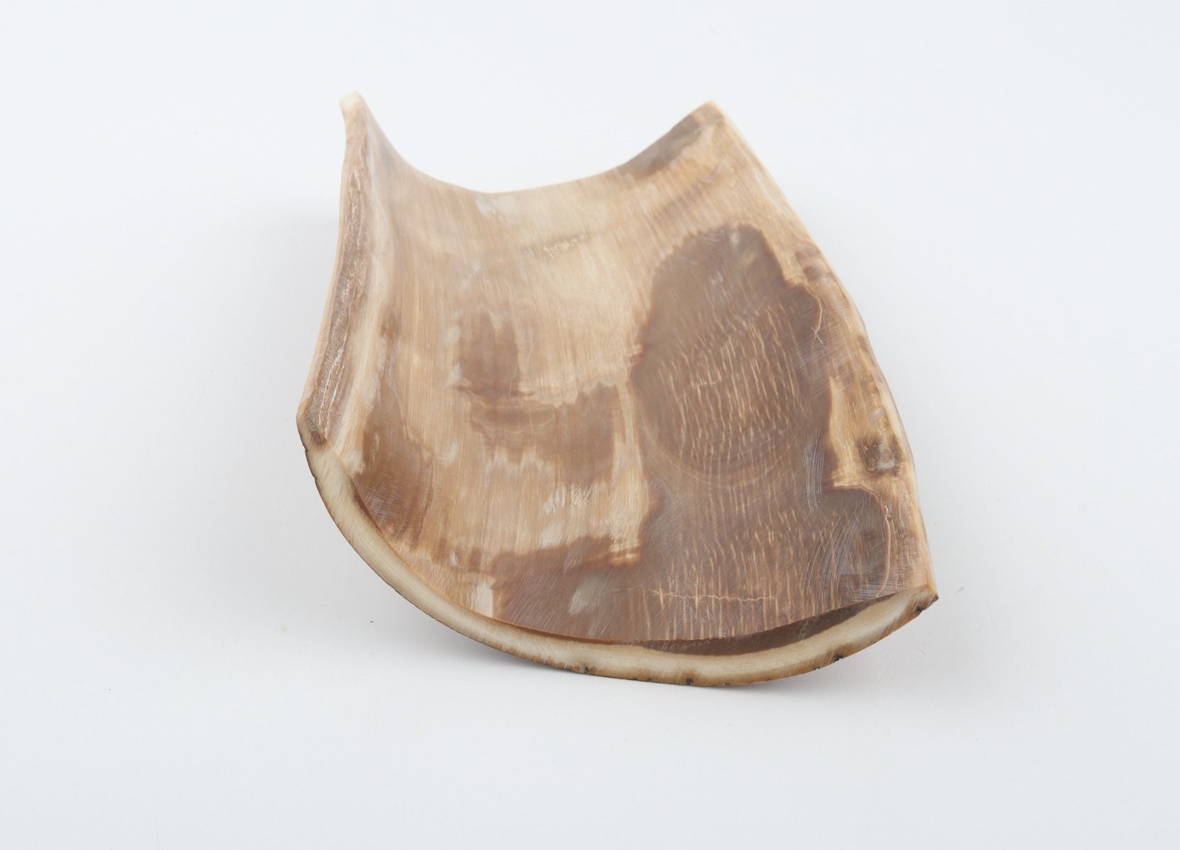 Natural woolly mammoth bark