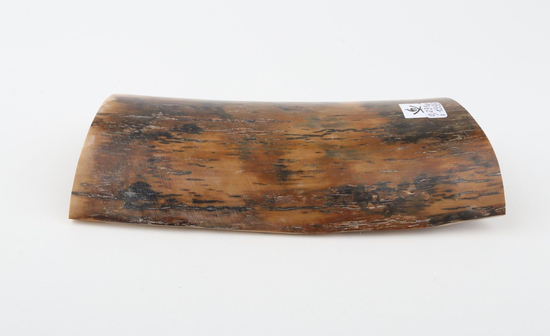 Natural woolly mammoth bark