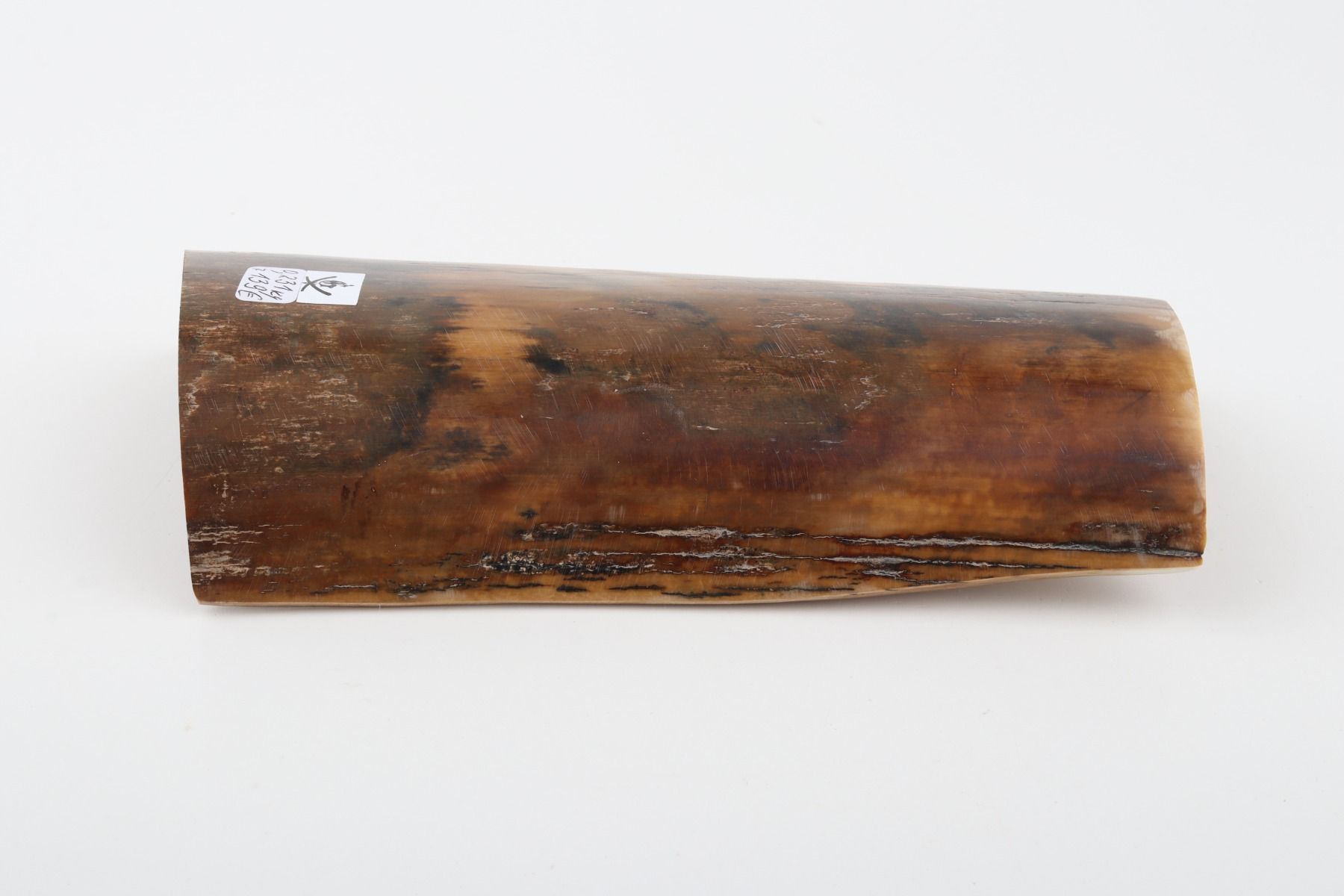 Natural woolly mammoth bark