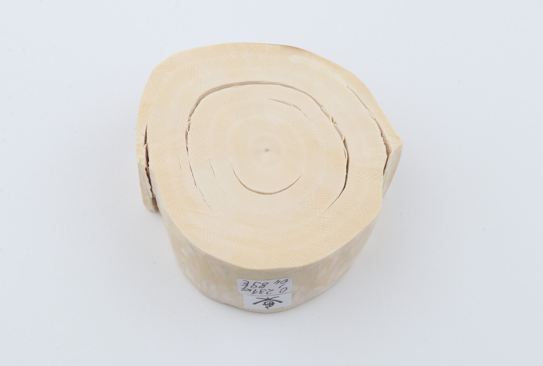 Round mammoth ivory piece