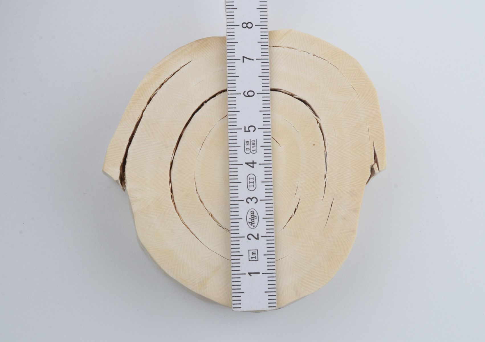 Round mammoth ivory piece