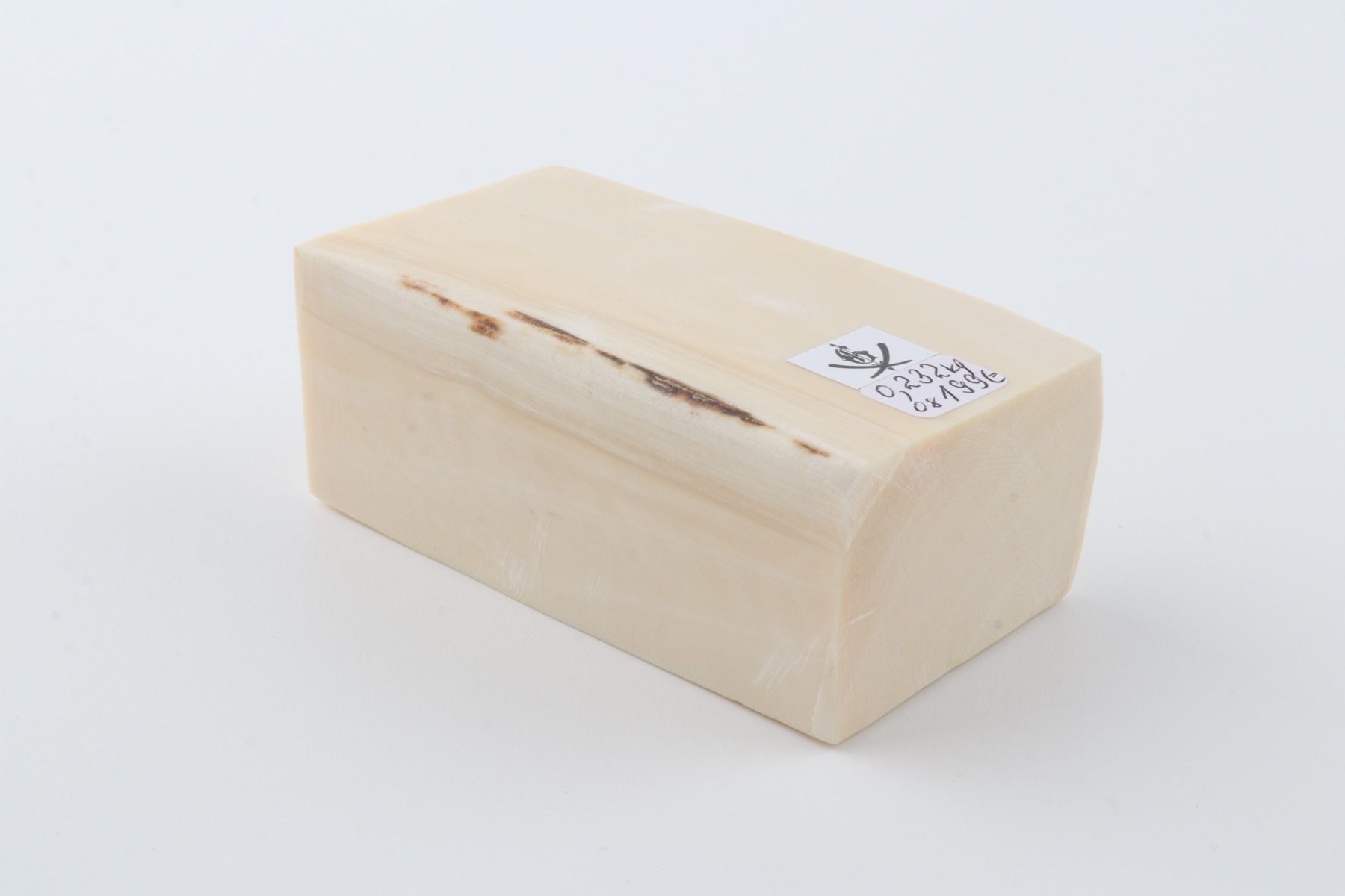 White mammoth ivory segment