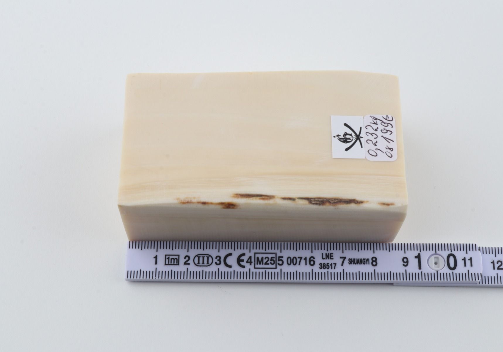 White mammoth ivory segment