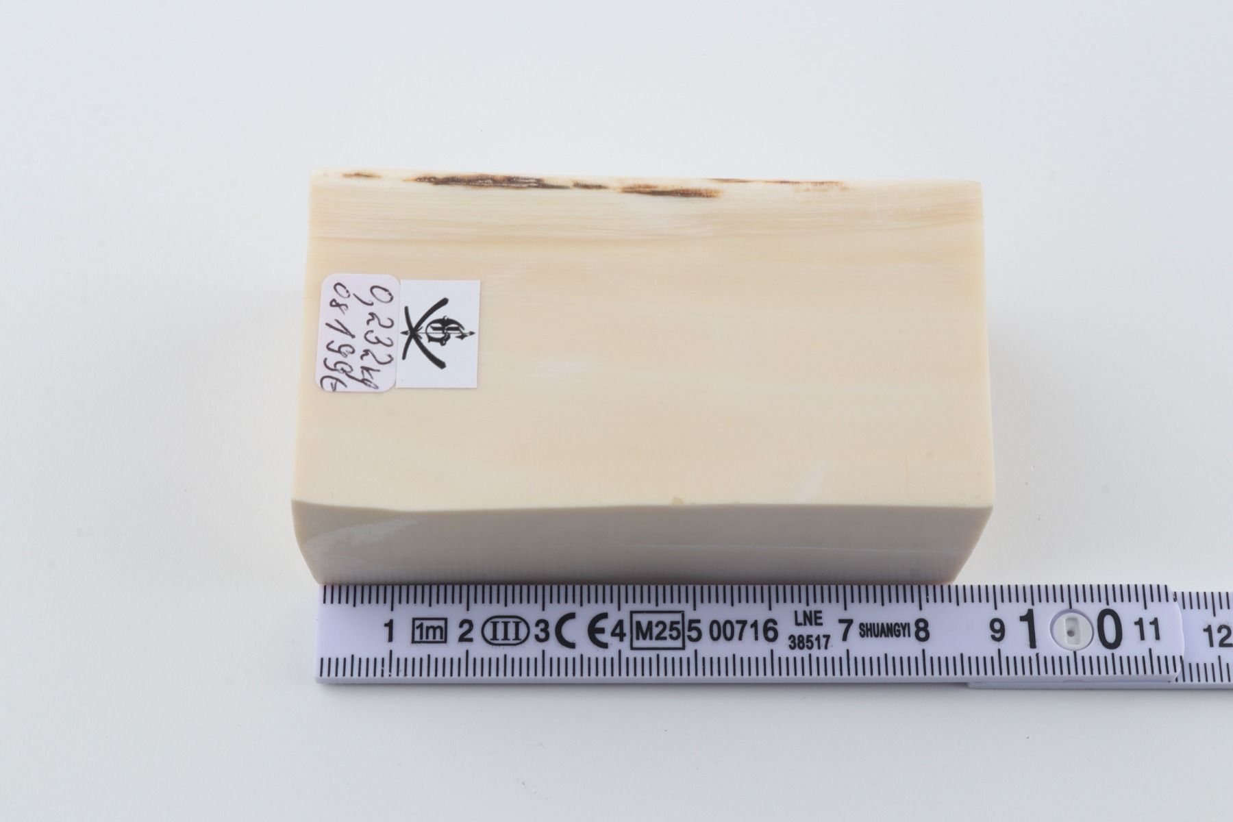 White mammoth ivory segment