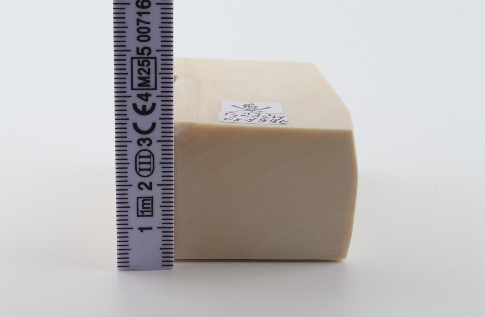 White mammoth ivory segment