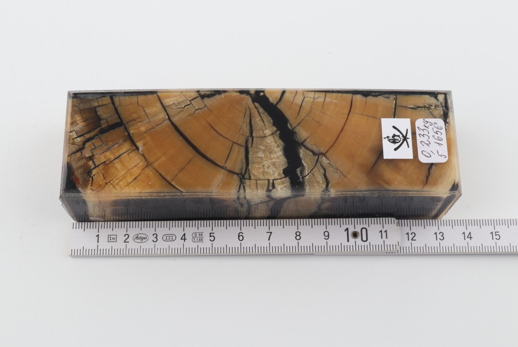 Stabilised mamoth ivory block
