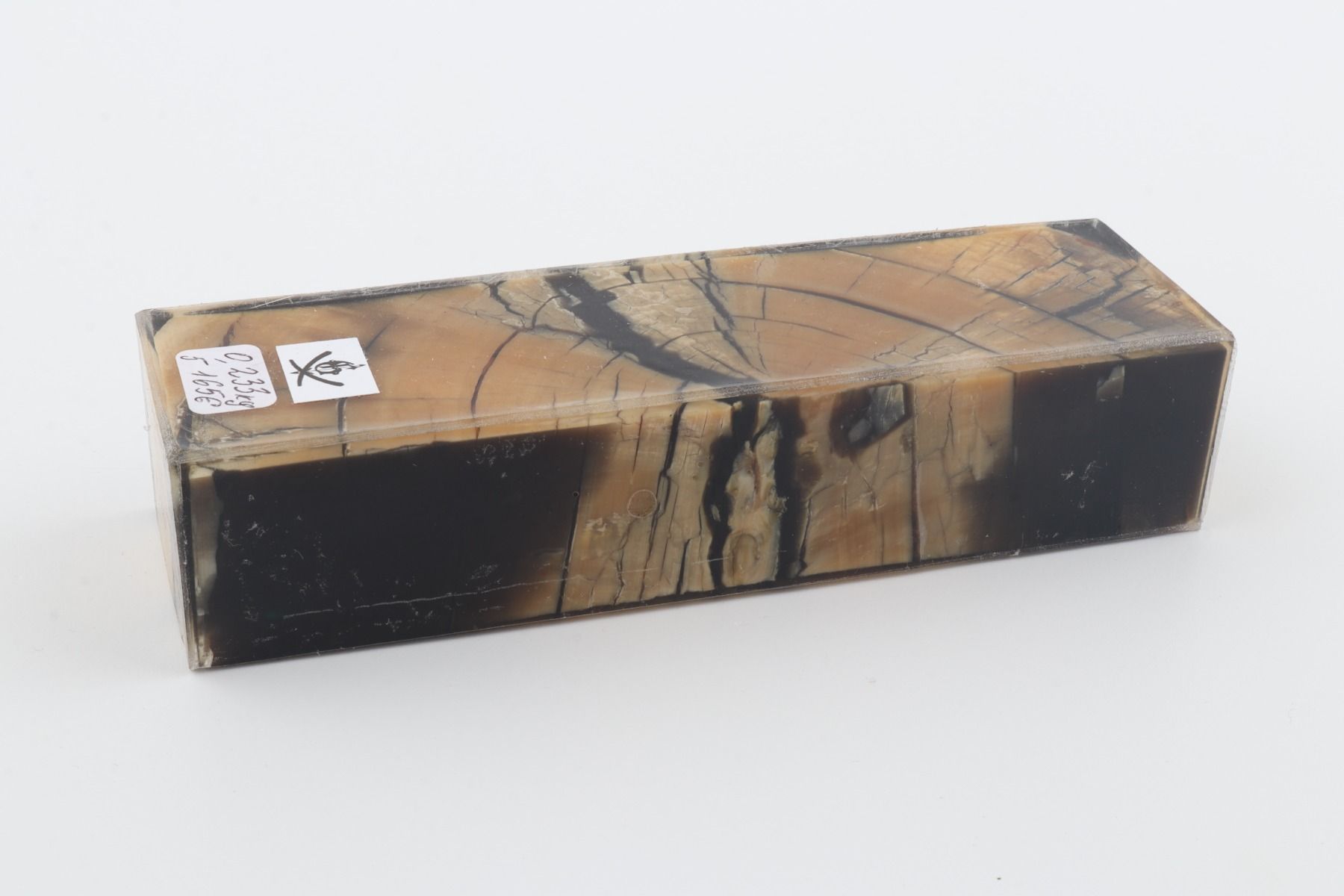 Stabilised mamoth ivory block