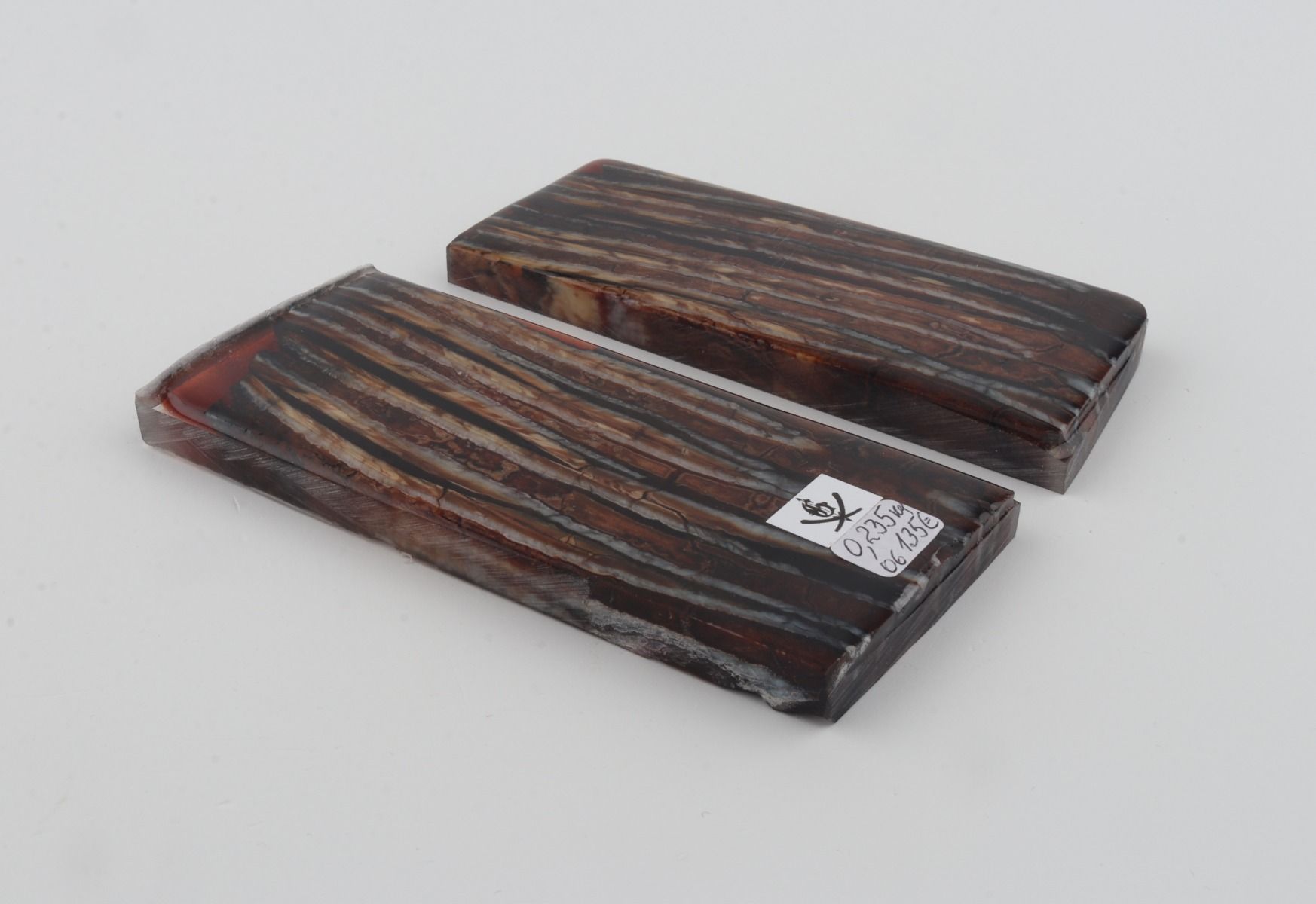 Stabilized mammoth molar scales