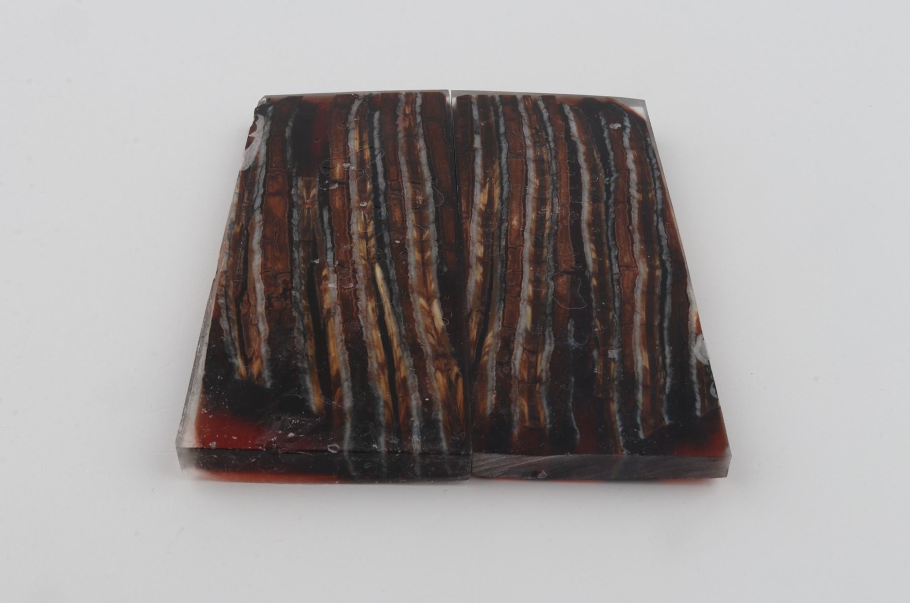 Stabilized mammoth molar scales